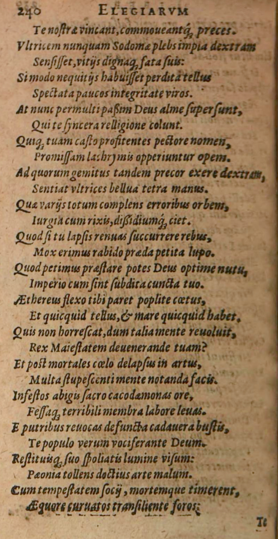 SchonaeusIII1618p240.jpg