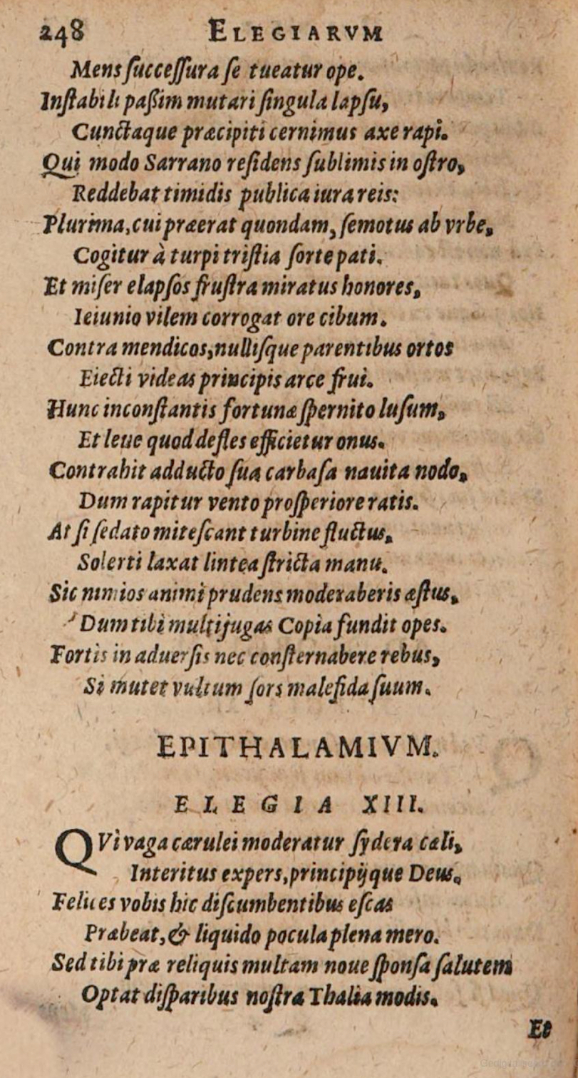 SchonaeusIII1618p248.jpg