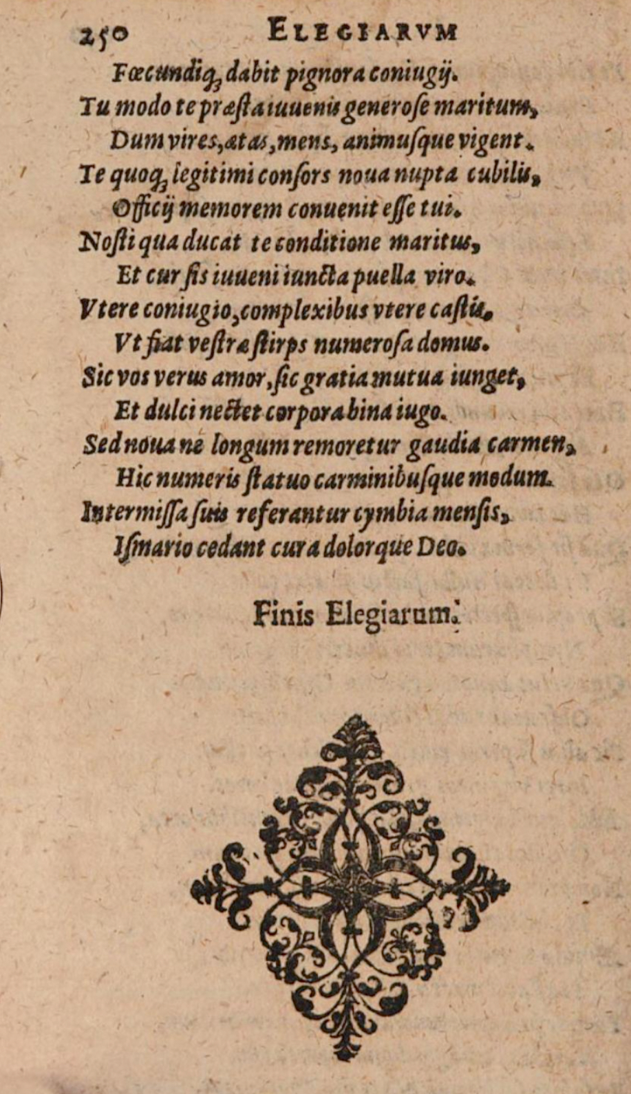 SchonaeusIII1618p250.jpg