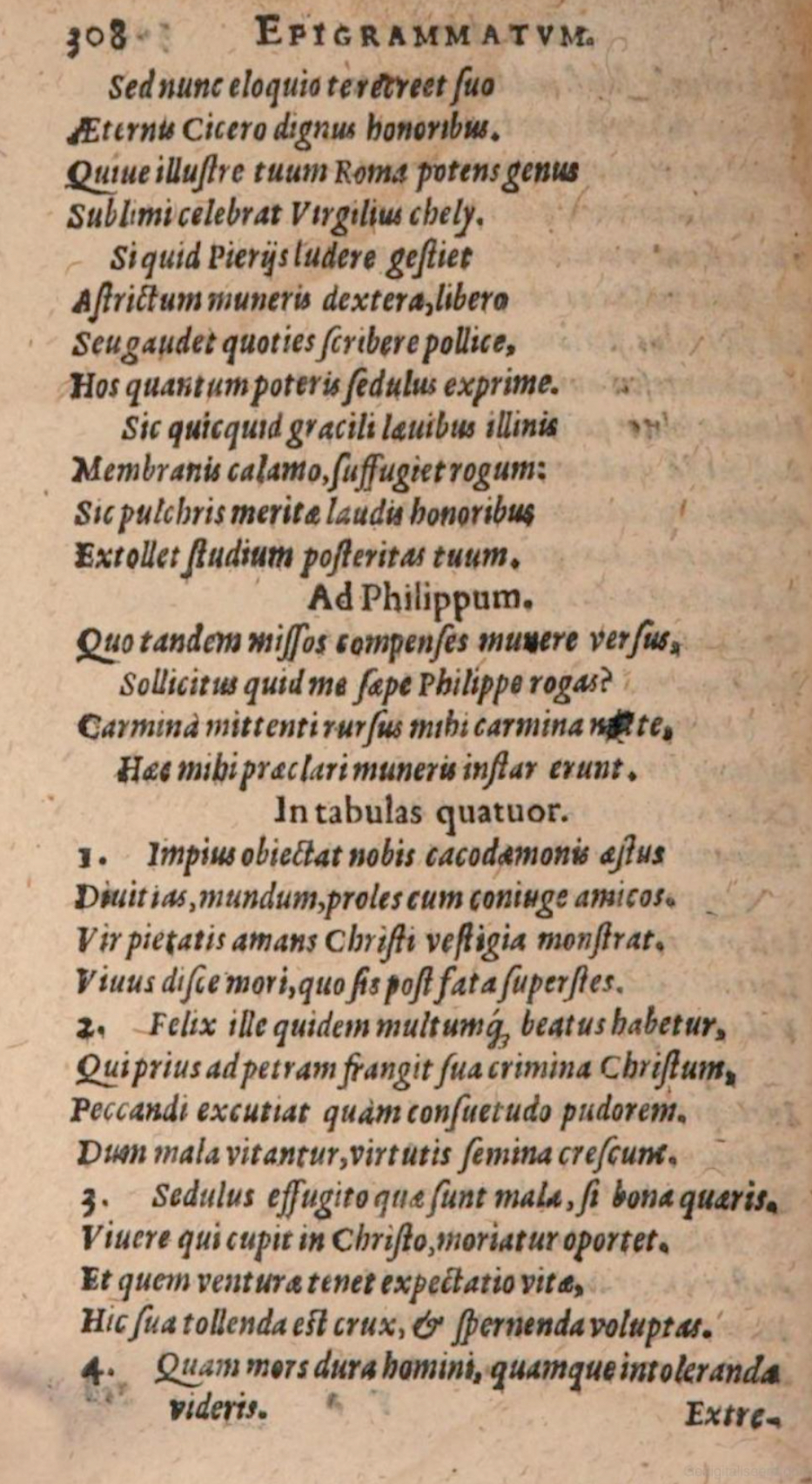 SchonaeusIII1618p308.jpg