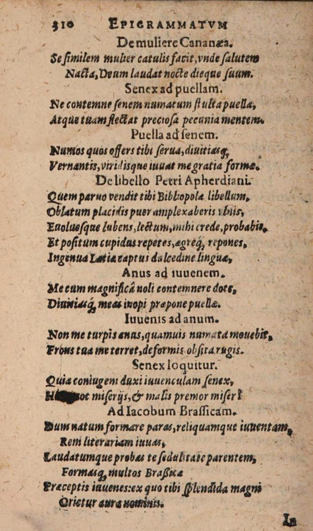 SchonaeusIII1618p310