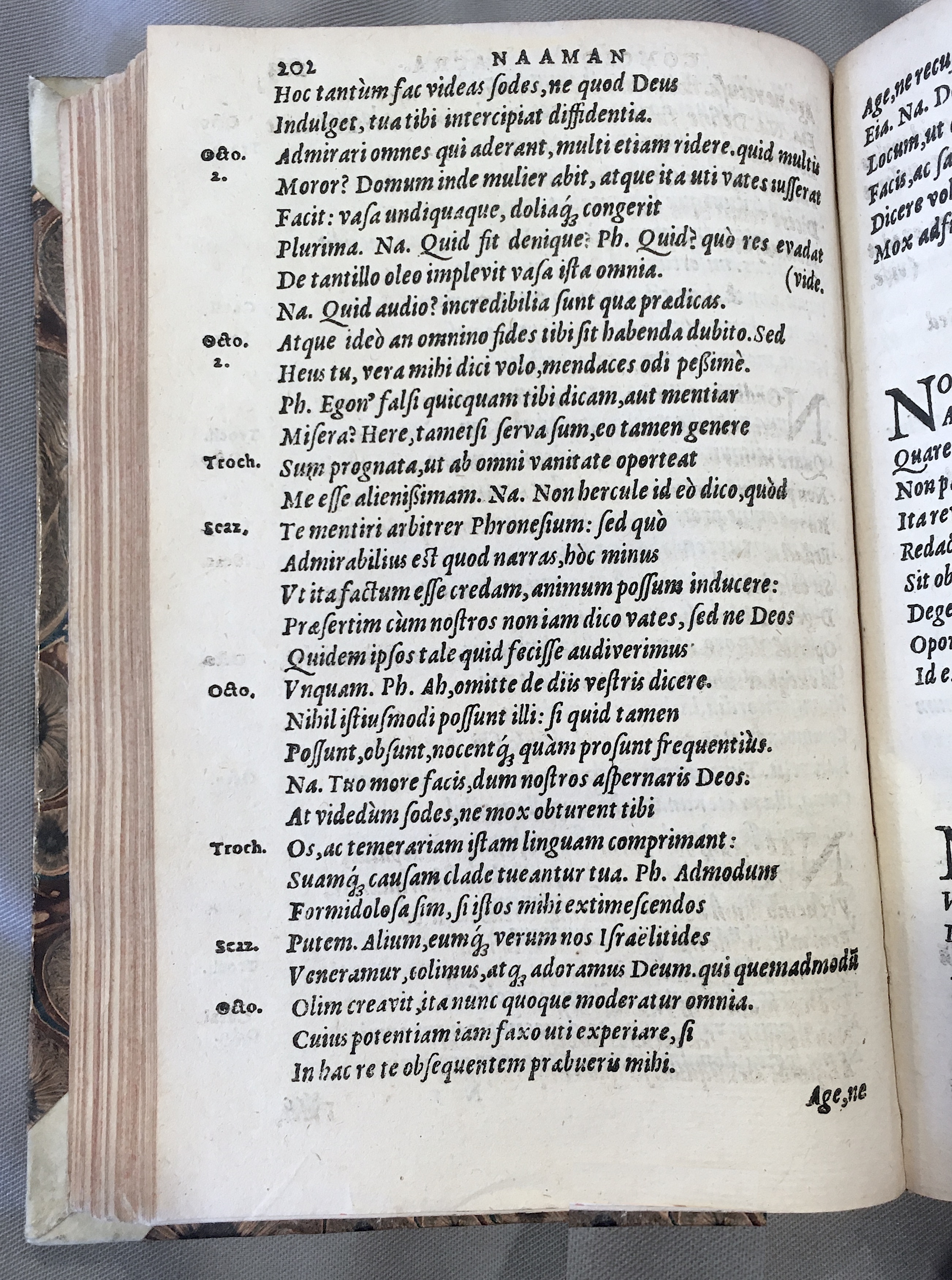 SchonaeusNaaman1592p202.jpg