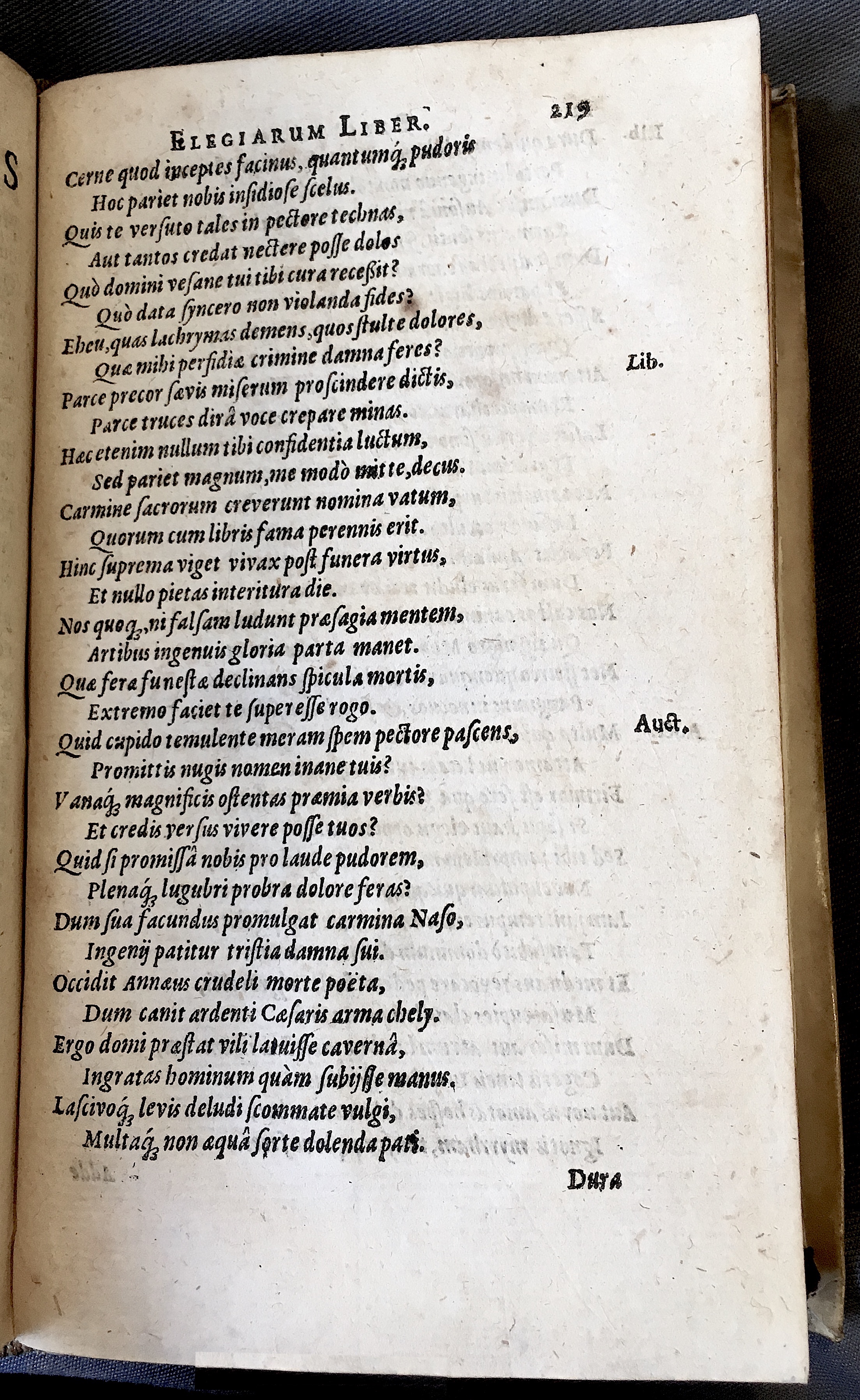 Schonaeus7Poemata1599p219.jpg