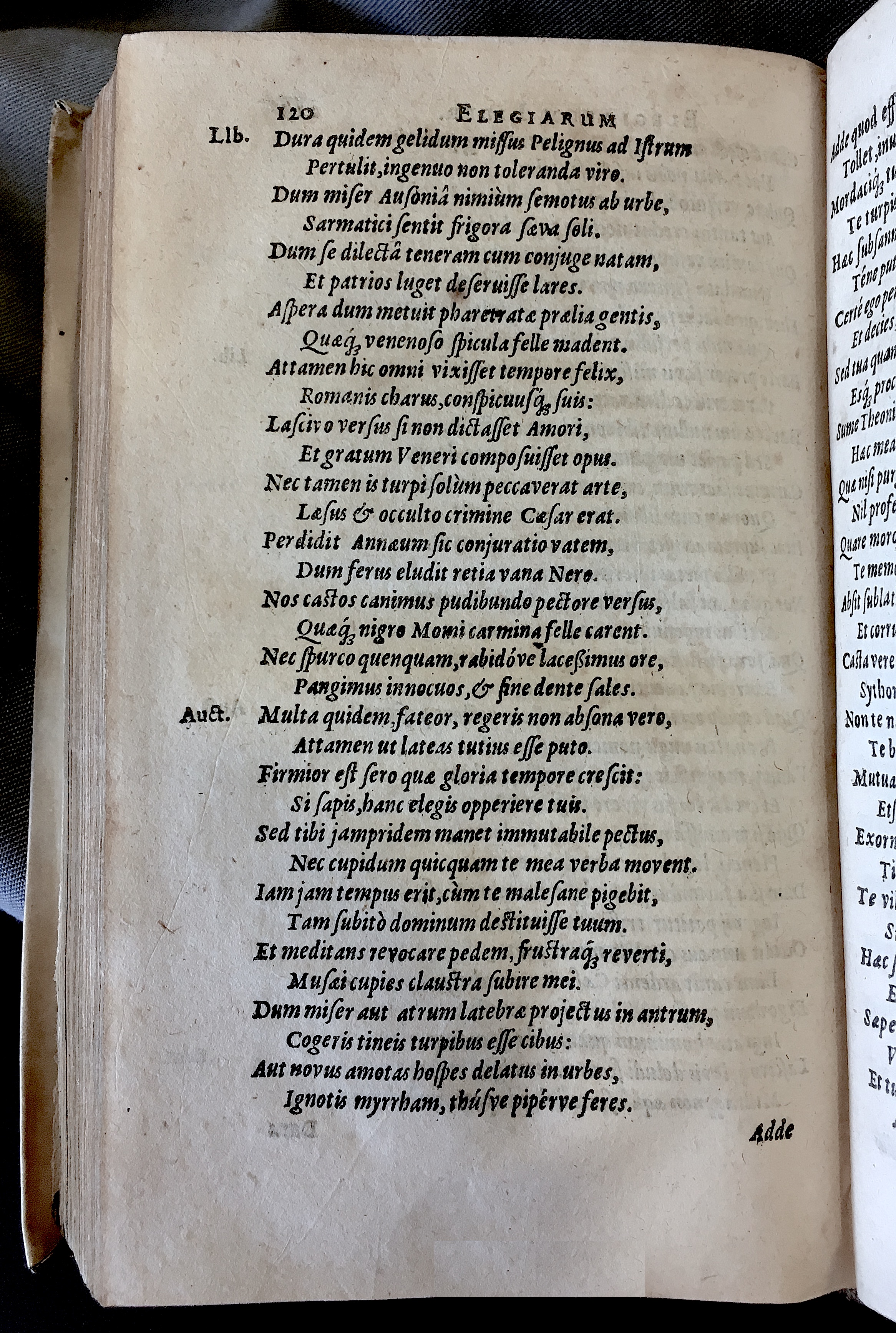 Schonaeus7Poemata1599p220.jpg