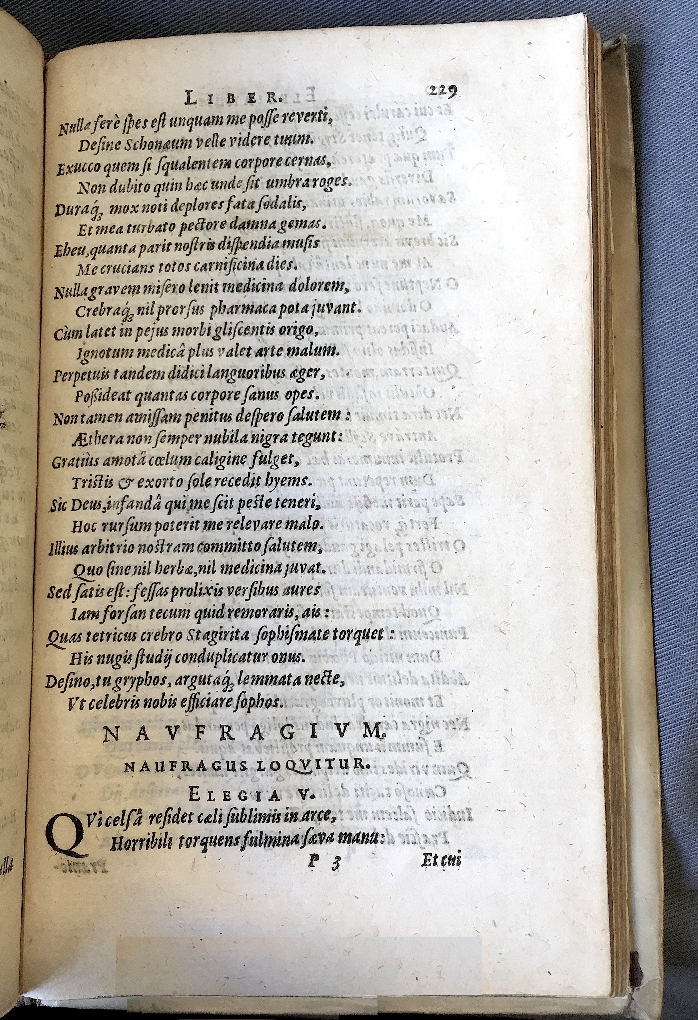 Schonaeus7Poemata1599p229.jpg