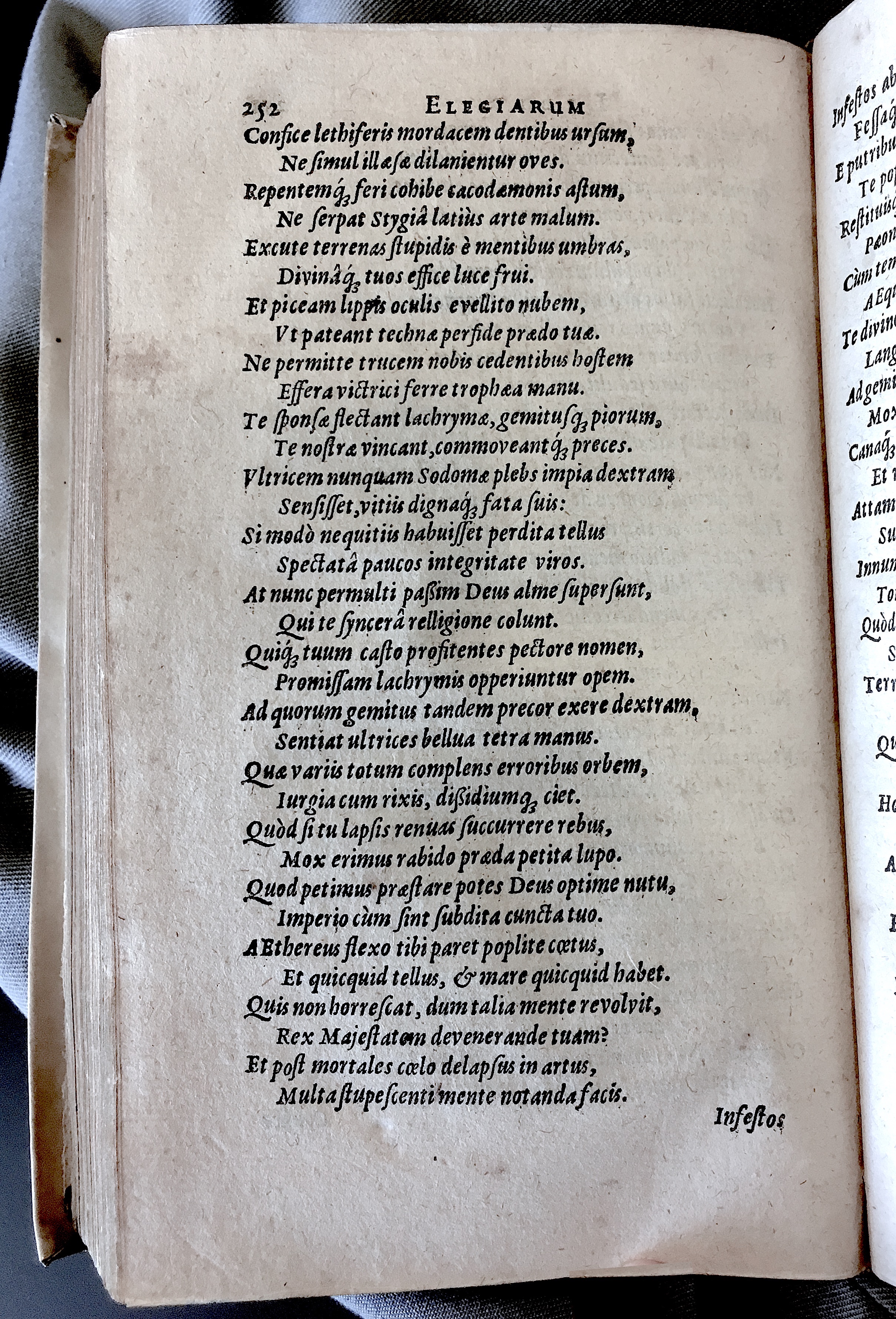 Schonaeus7Poemata1599p252.jpg