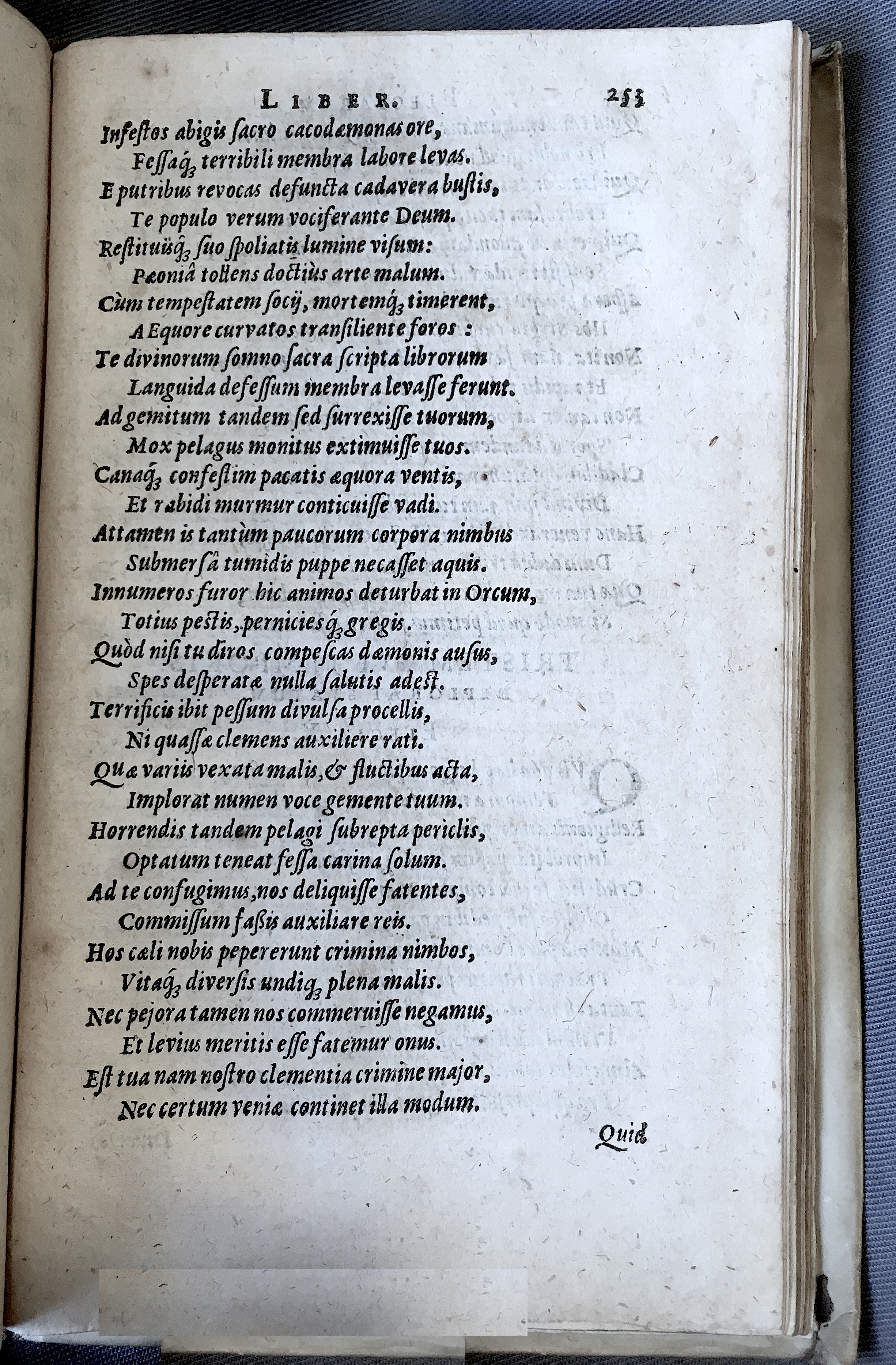 Schonaeus7Poemata1599p253a.jpg