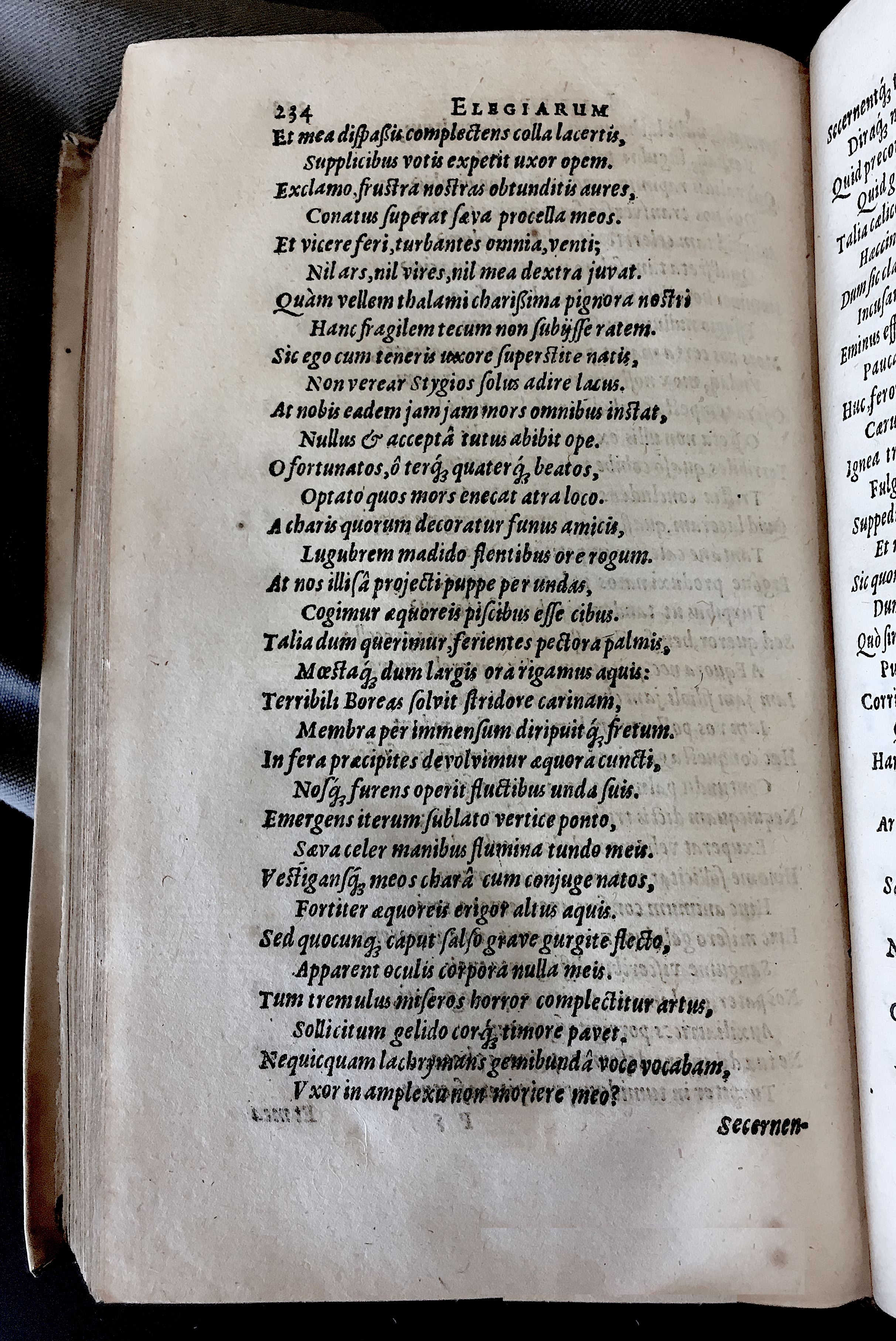 Schonaeus7Poemata1599p234