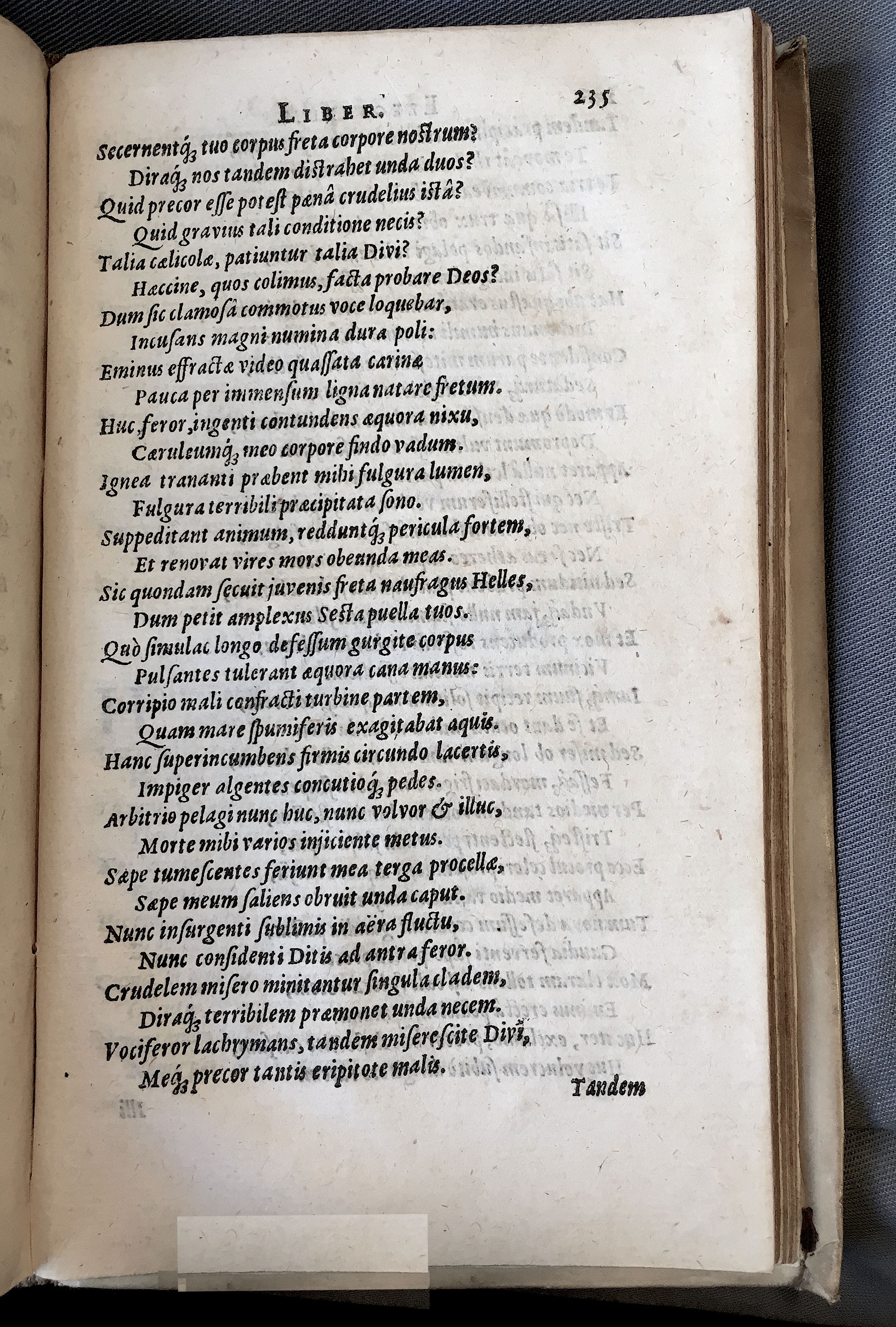 Schonaeus7Poemata1599p235