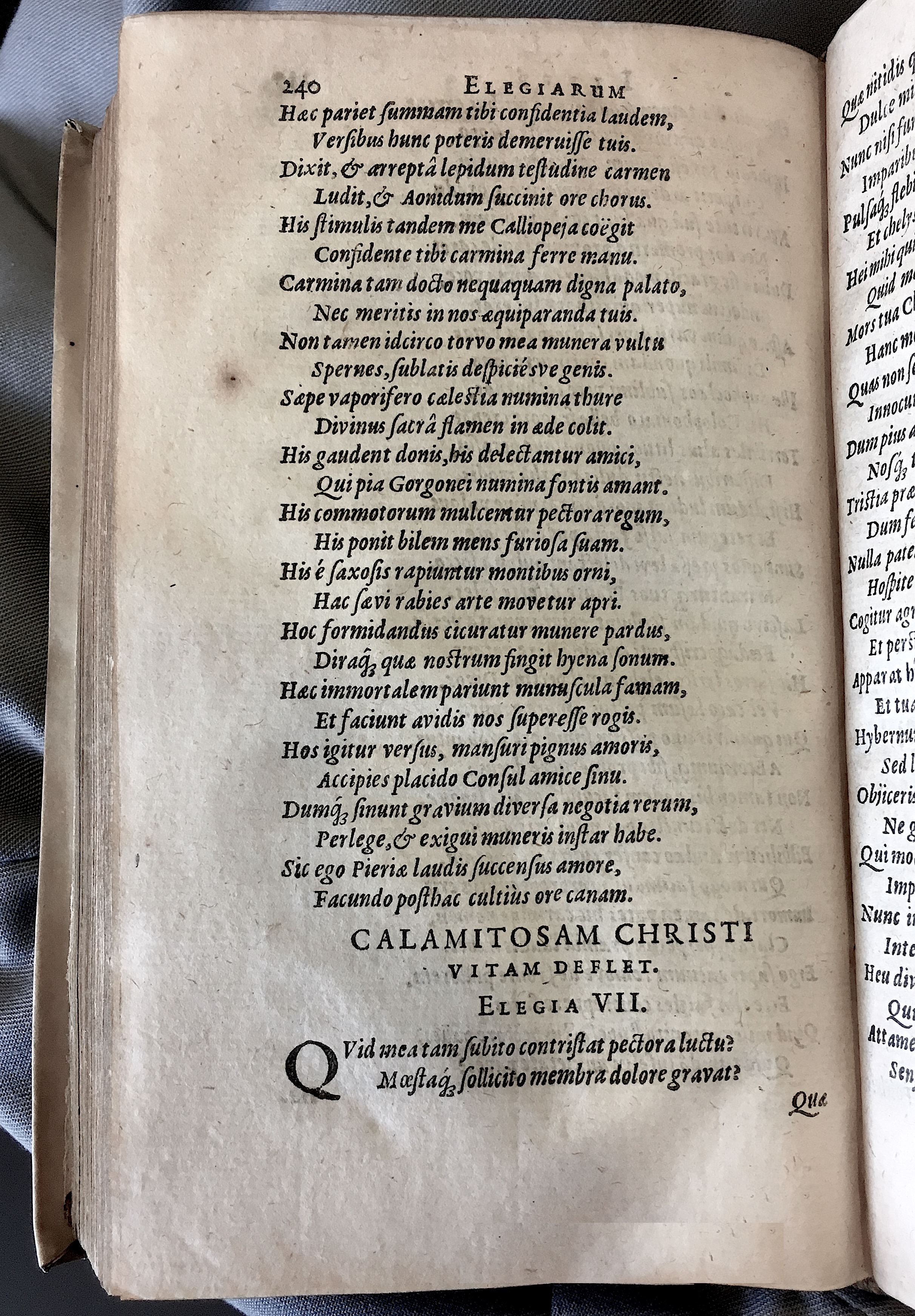 Schonaeus7Poemata1599p240