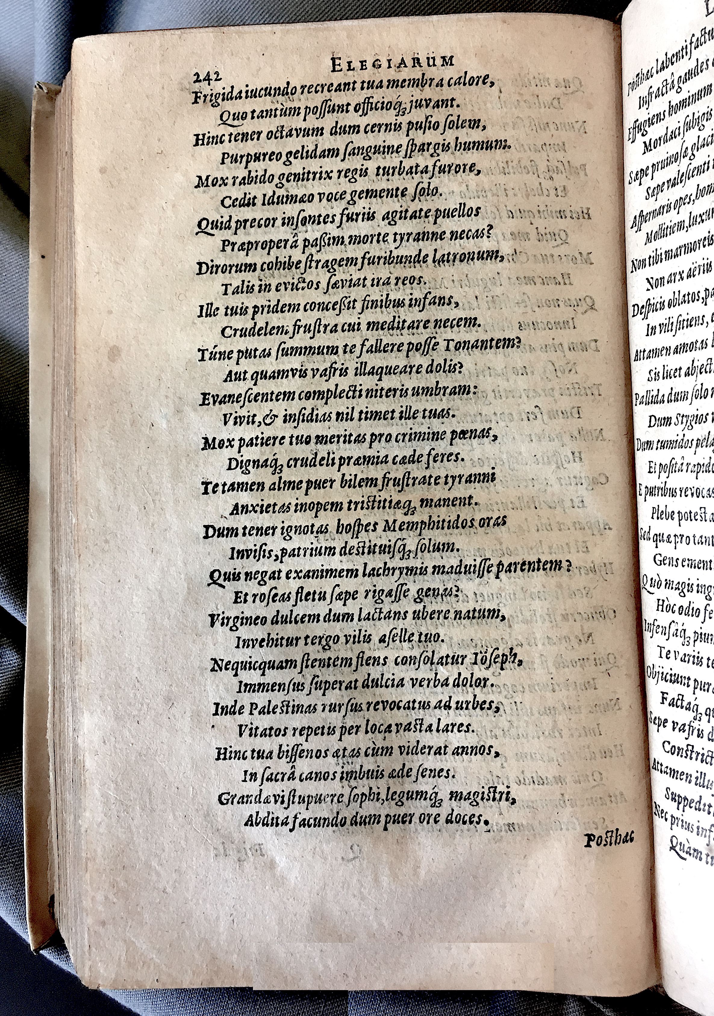 Schonaeus7Poemata1599p242