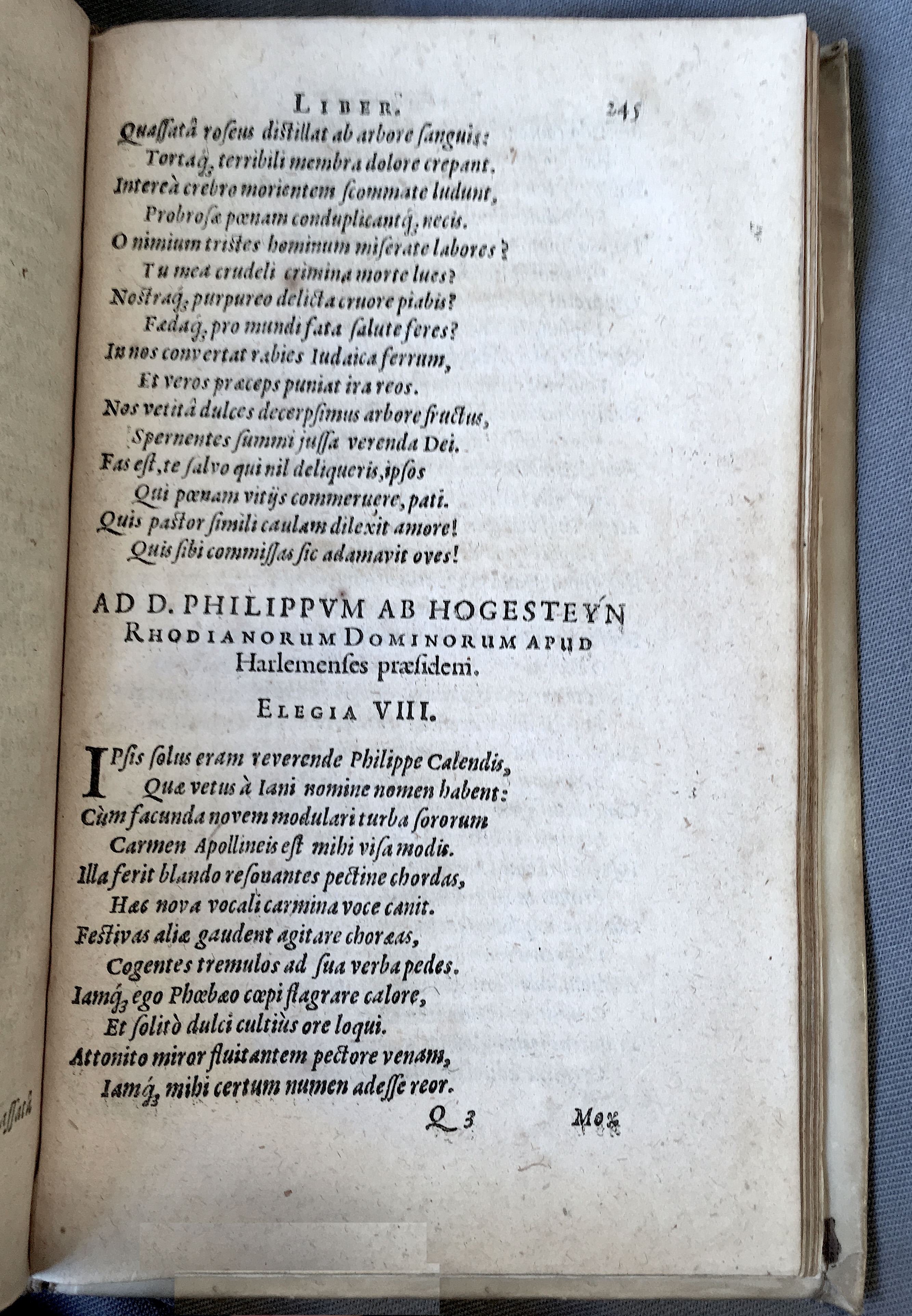 Schonaeus7Poemata1599p245