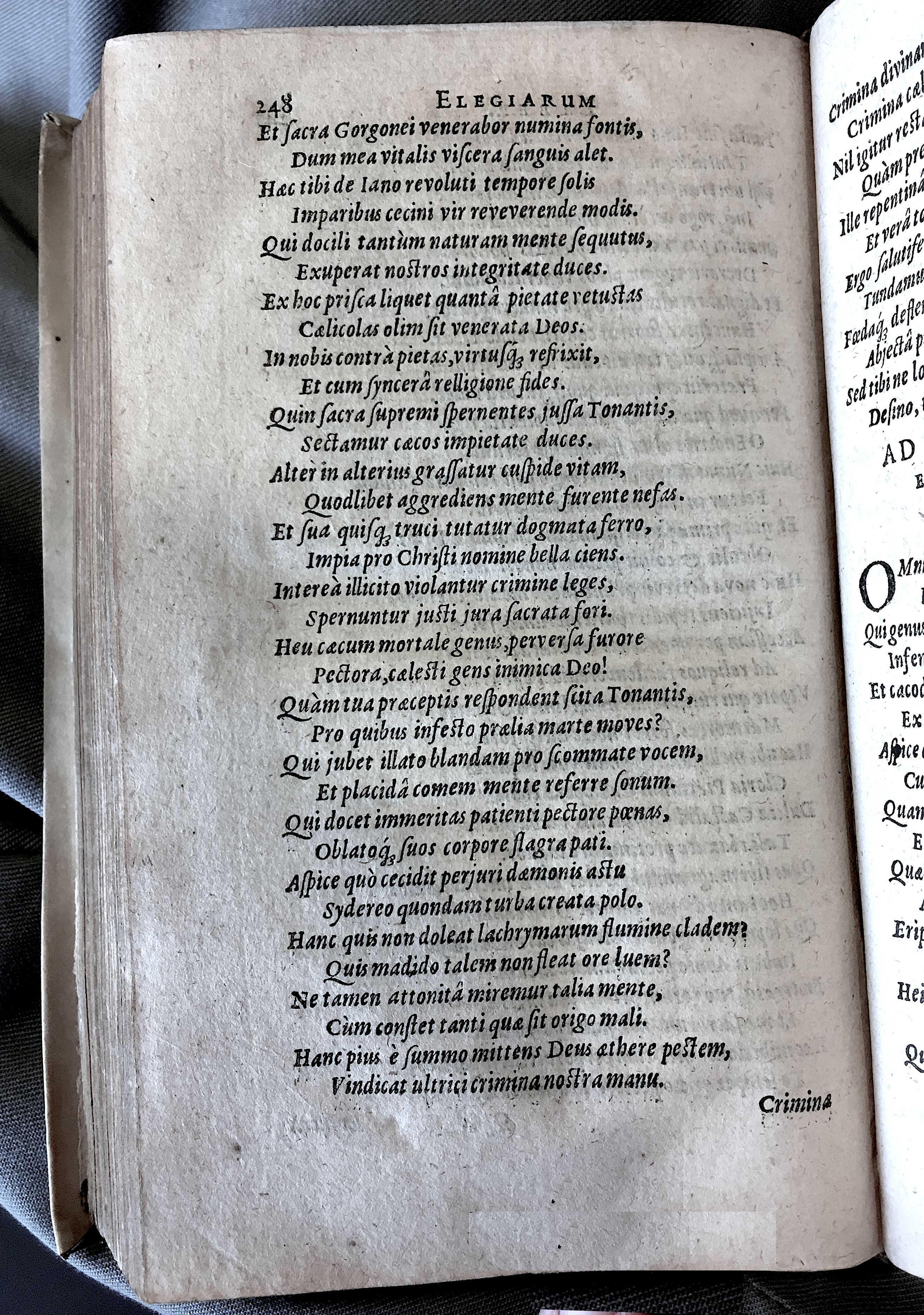 Schonaeus7Poemata1599p248