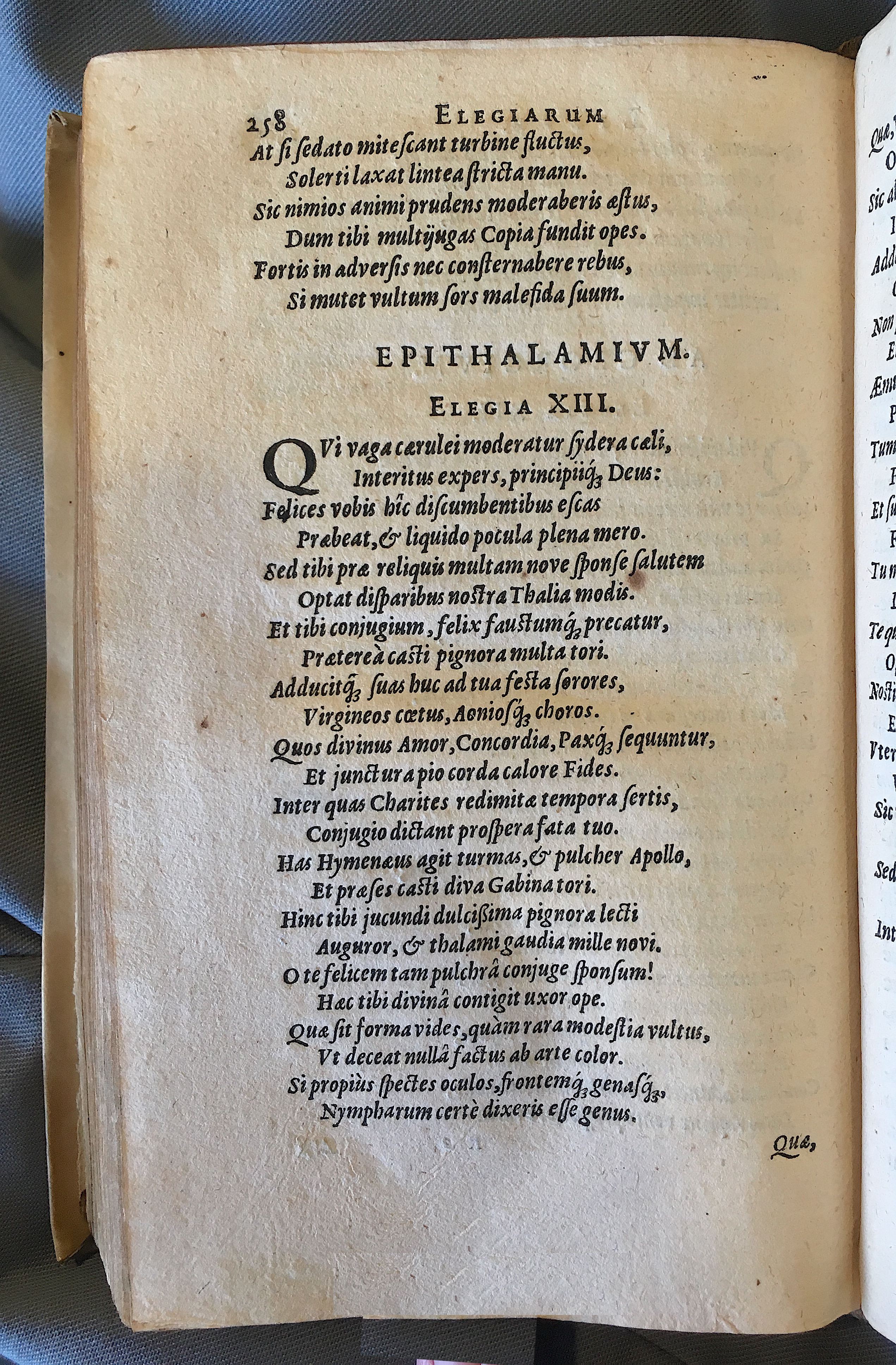 Schonaeus7Poemata1599p258