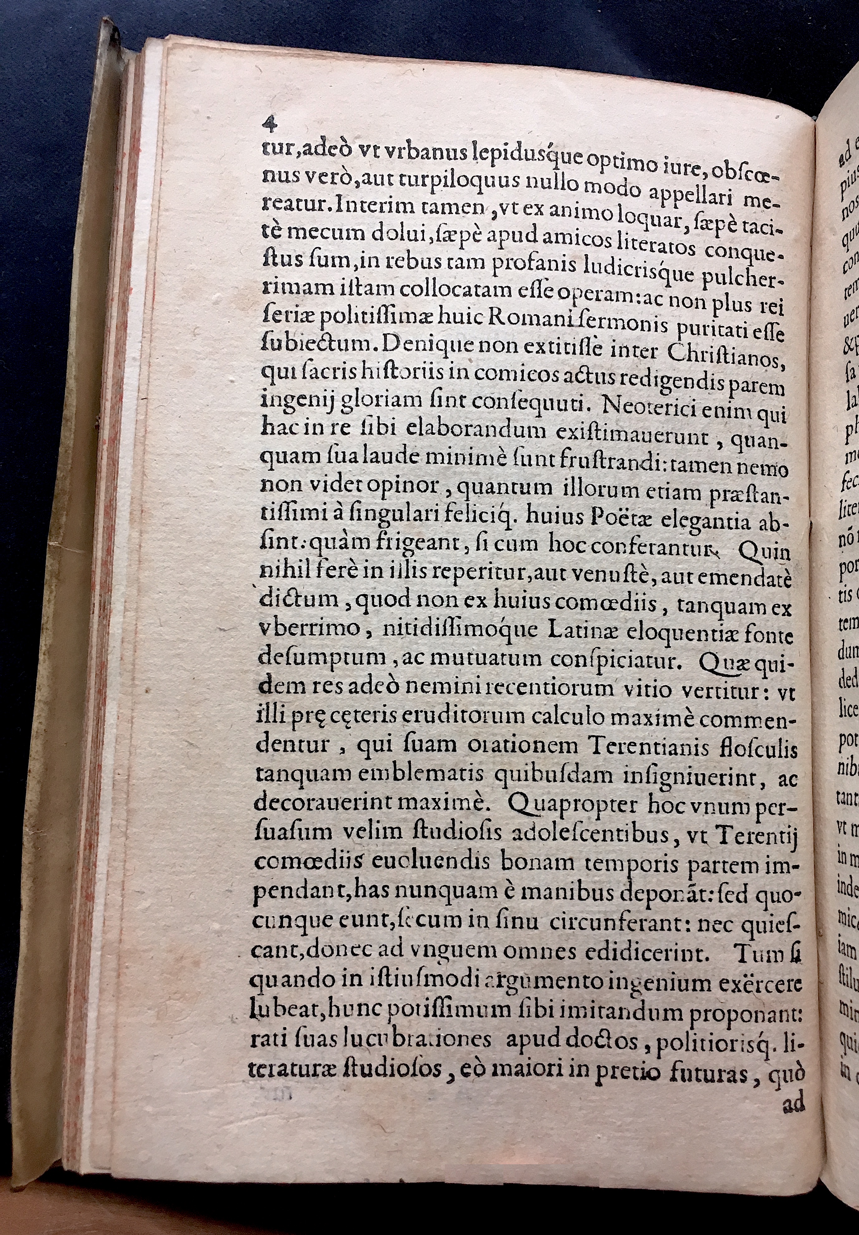 SchonaeusSaulus1581p04.jpg