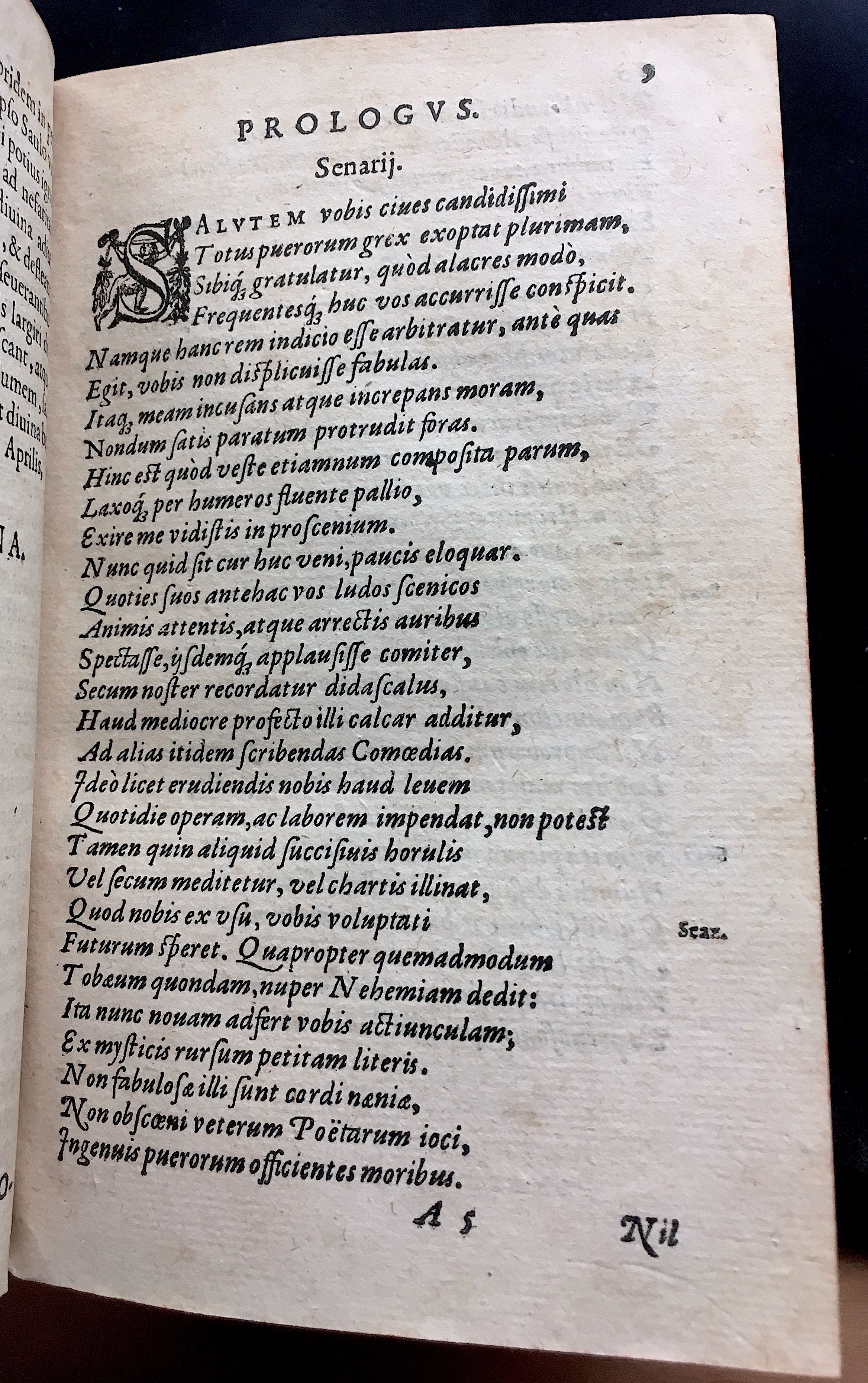 SchonaeusSaulus1581p09.jpg