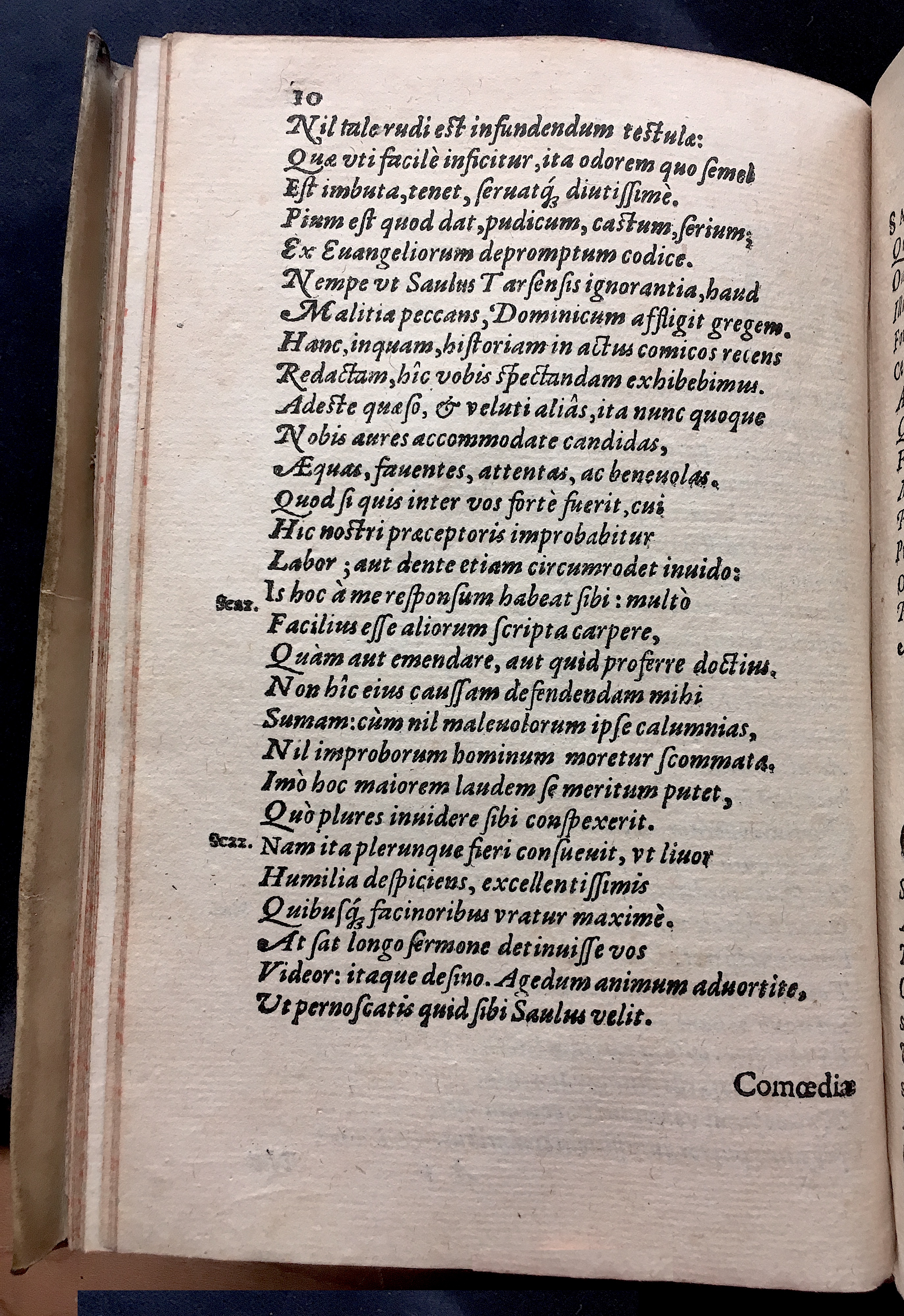 SchonaeusSaulus1581p10.jpg