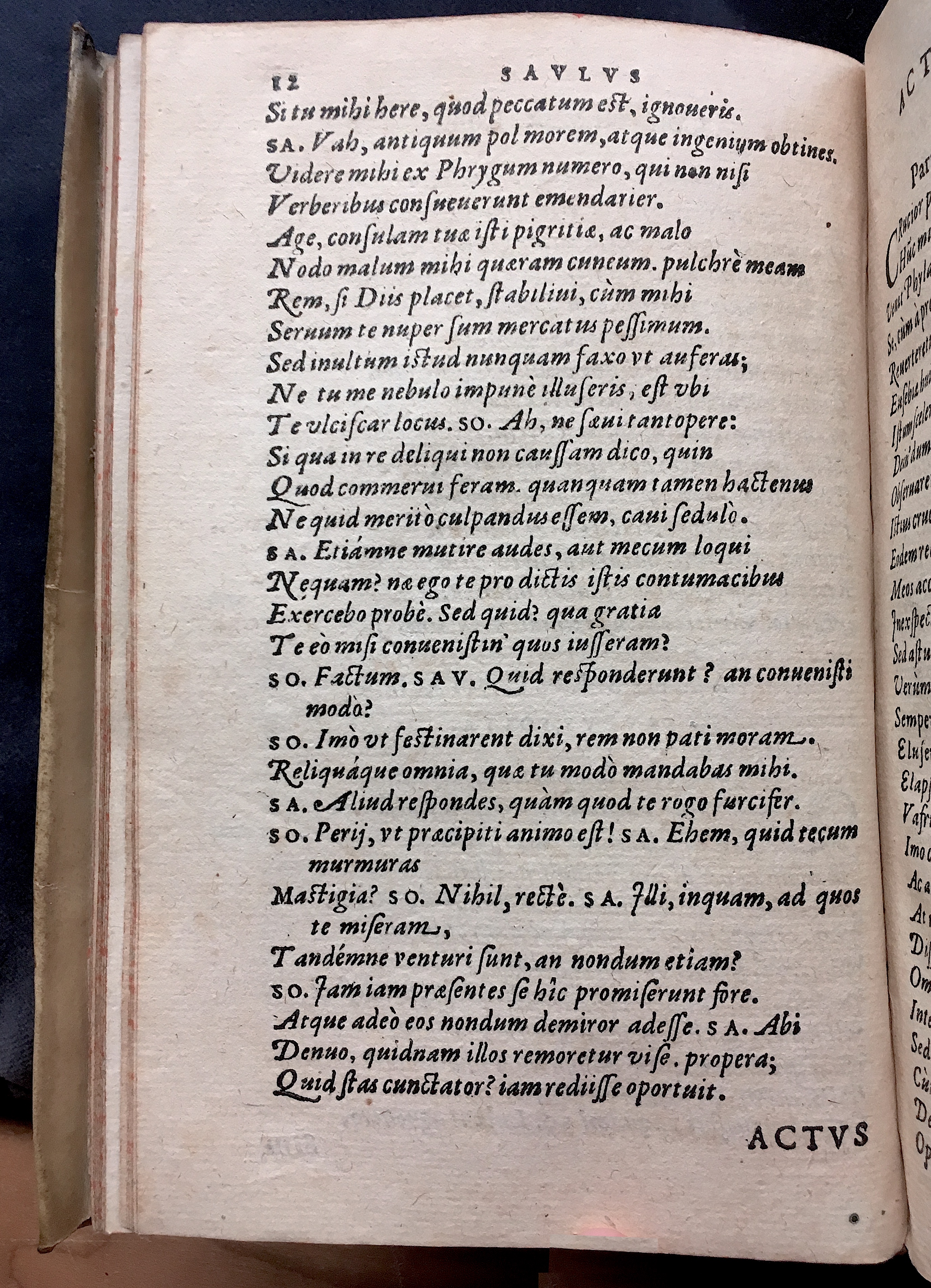 SchonaeusSaulus1581p12.jpg