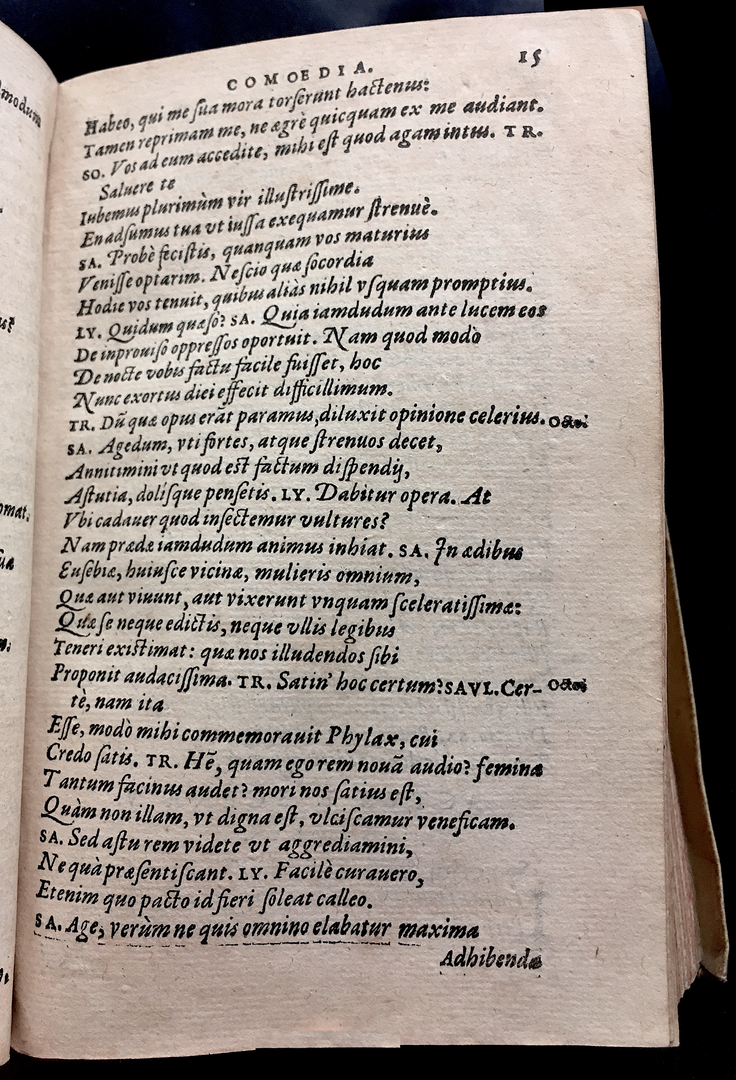 SchonaeusSaulus1581p15.jpg