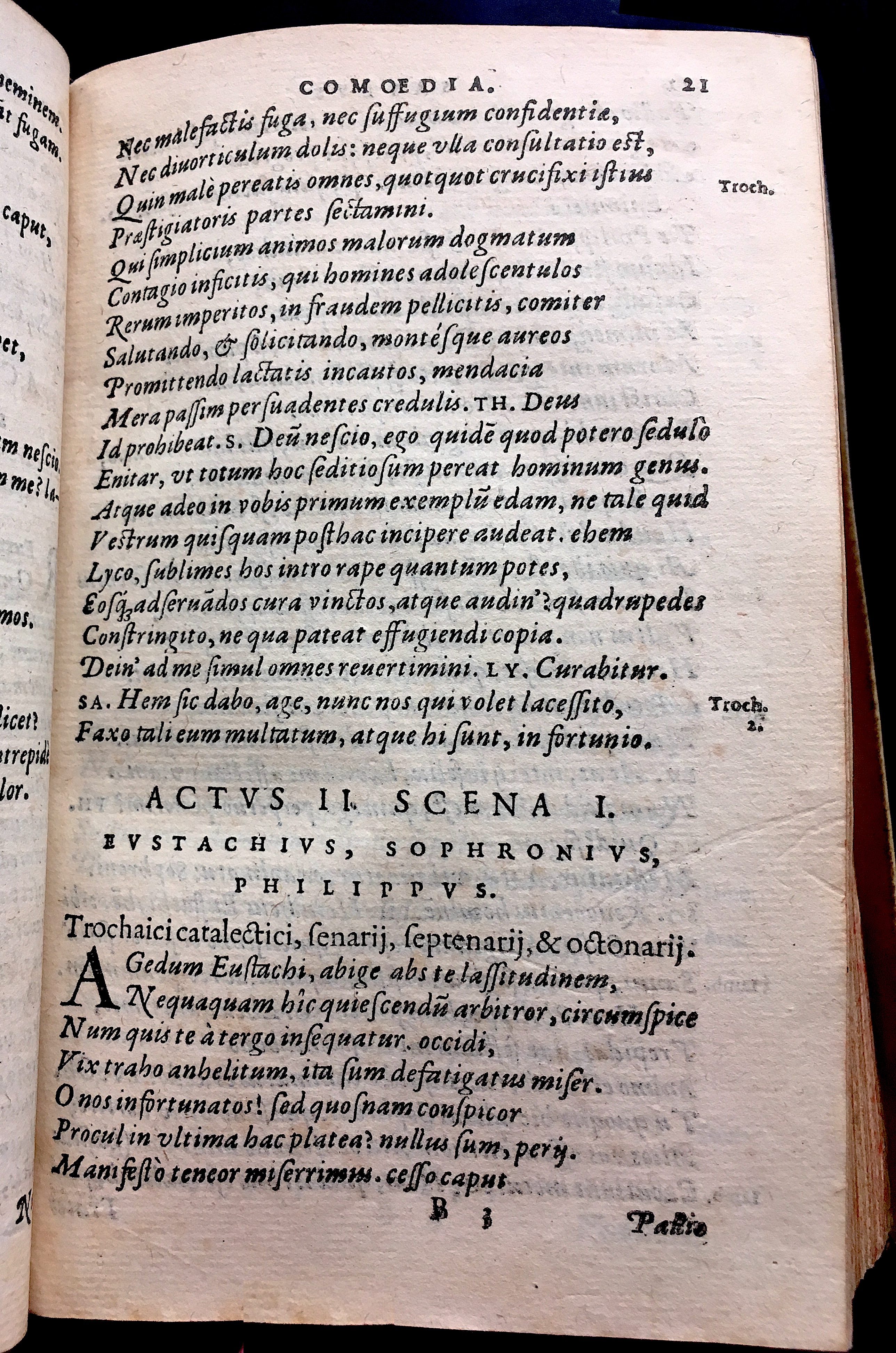 SchonaeusSaulus1581p21.jpg