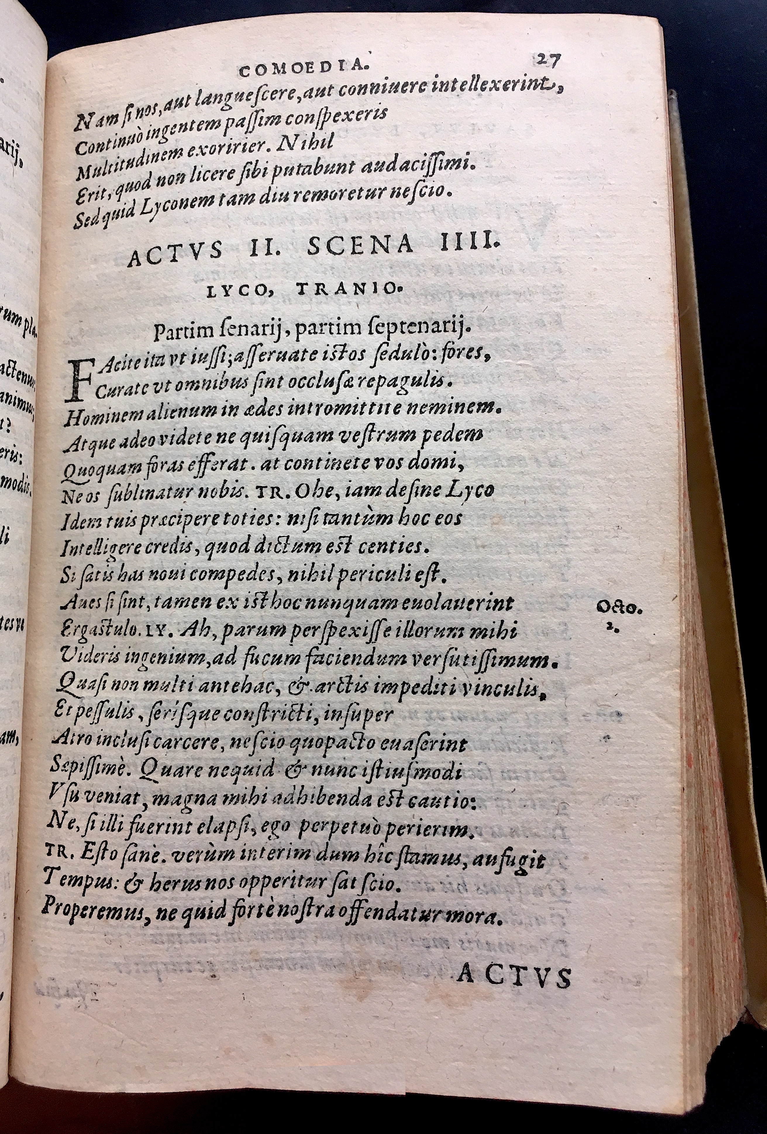 SchonaeusSaulus1581p27.jpg