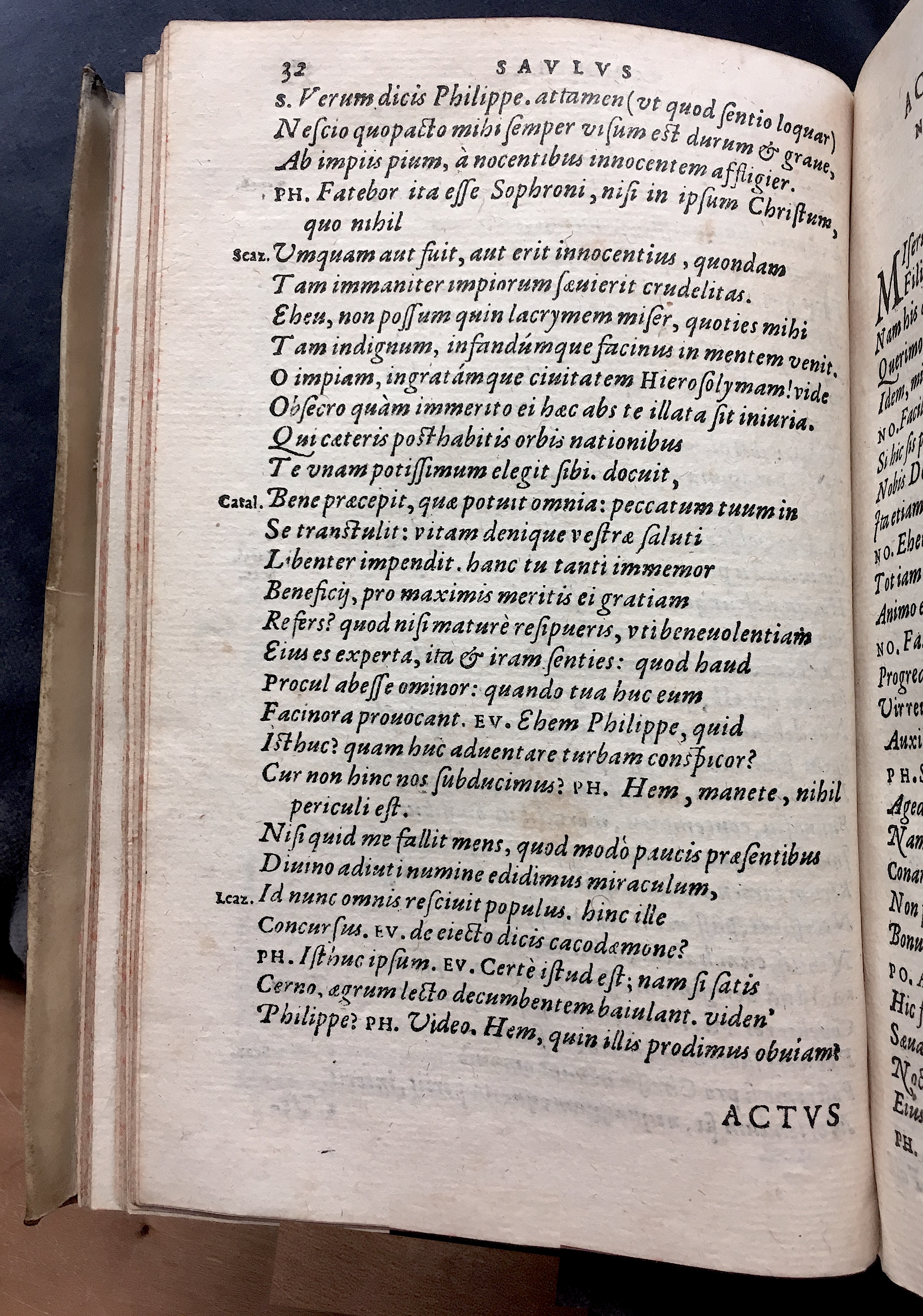 SchonaeusSaulus1581p32.jpg