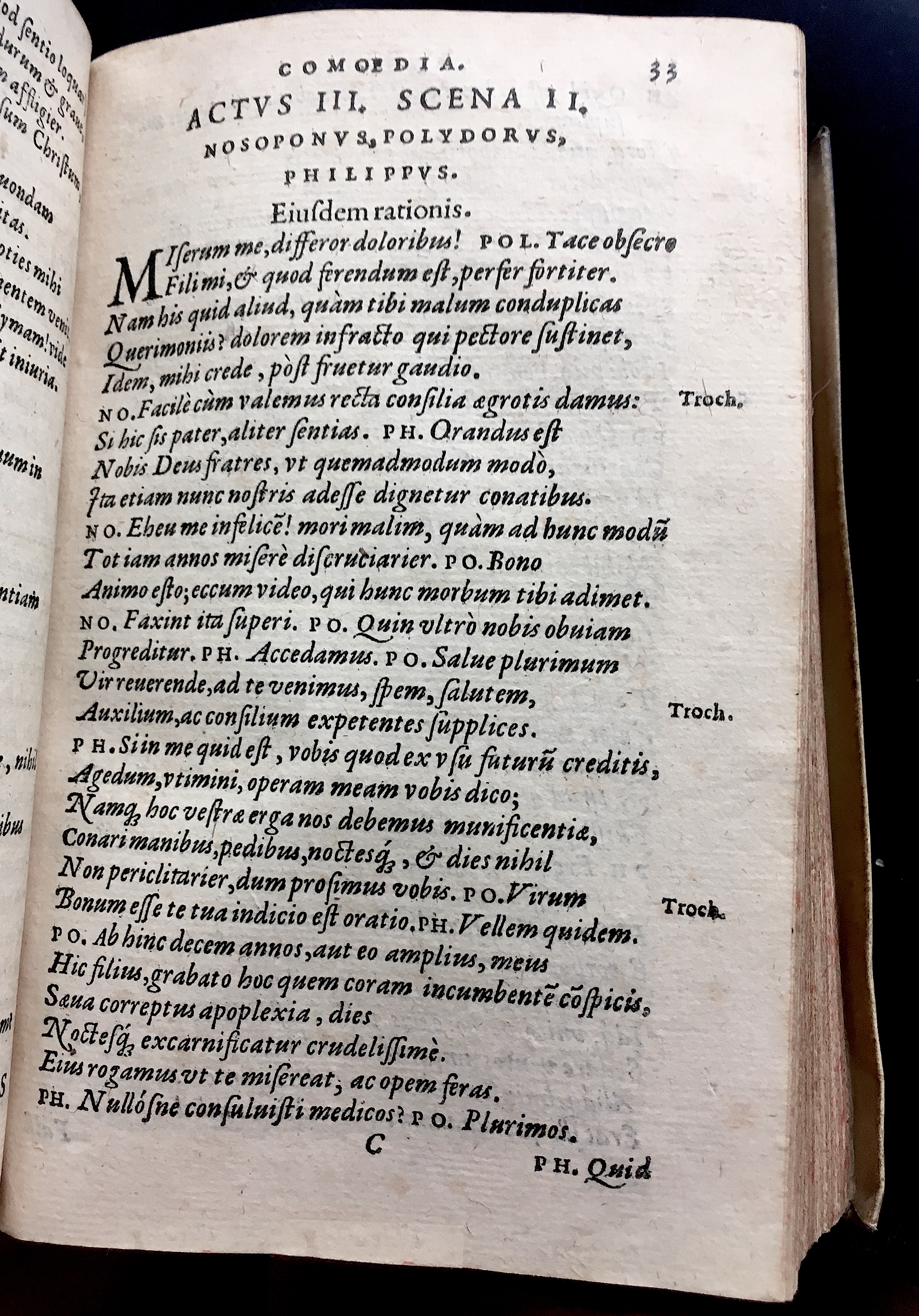 SchonaeusSaulus1581p33.jpg