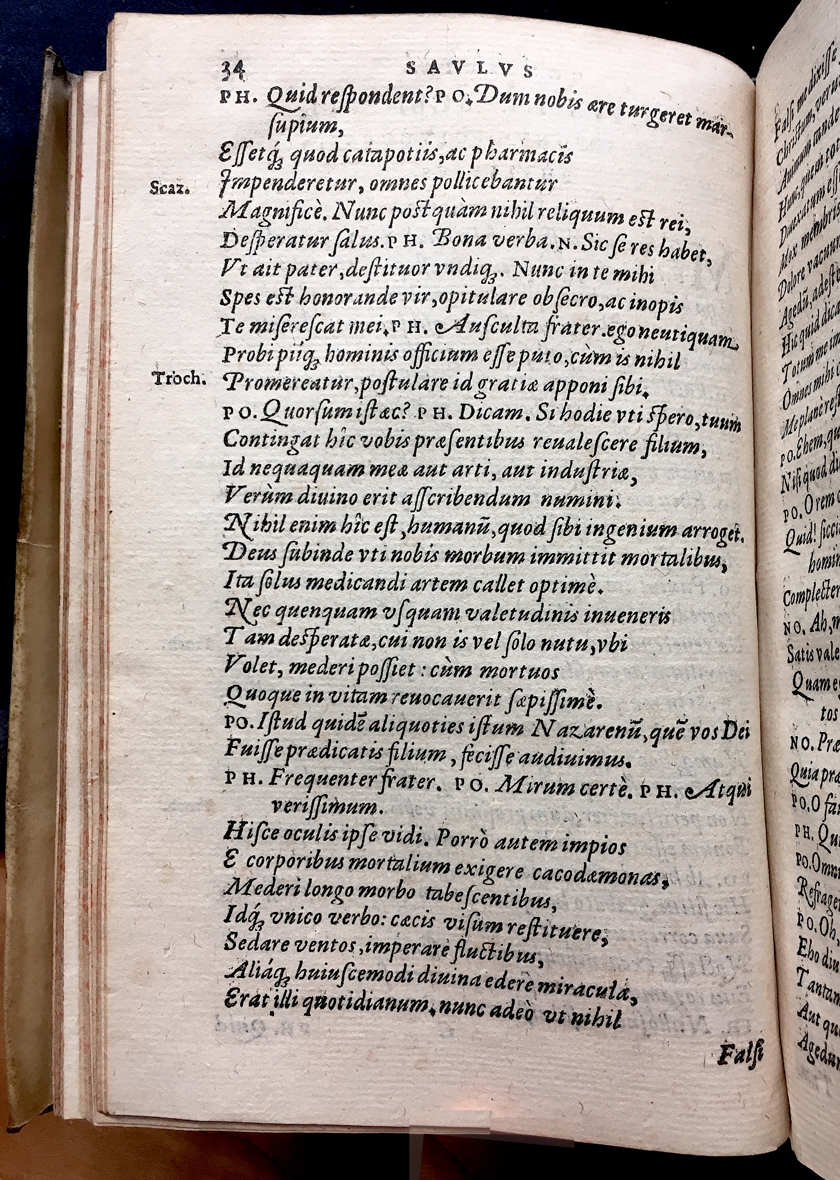 SchonaeusSaulus1581p34.jpg