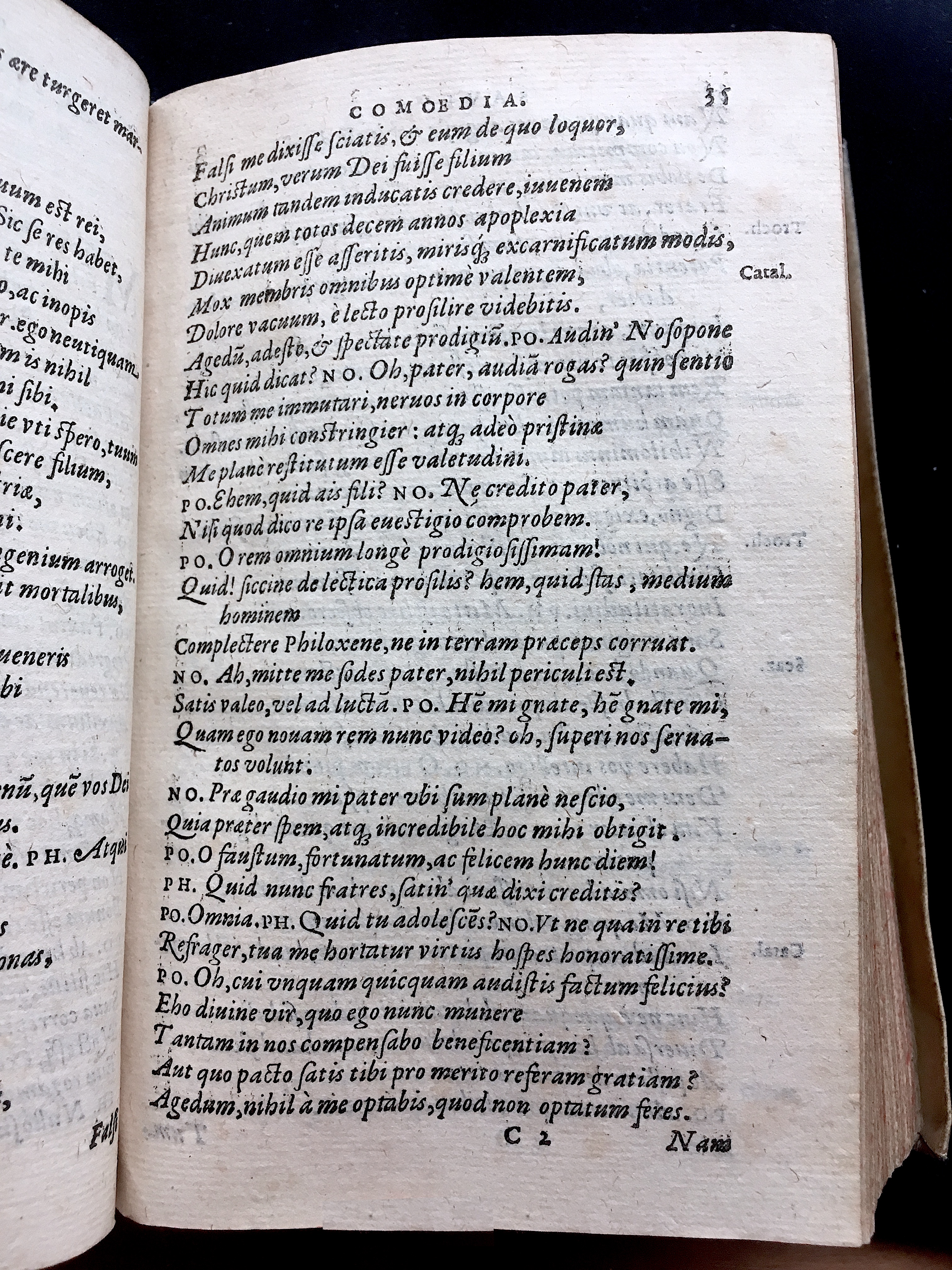 SchonaeusSaulus1581p35.jpg