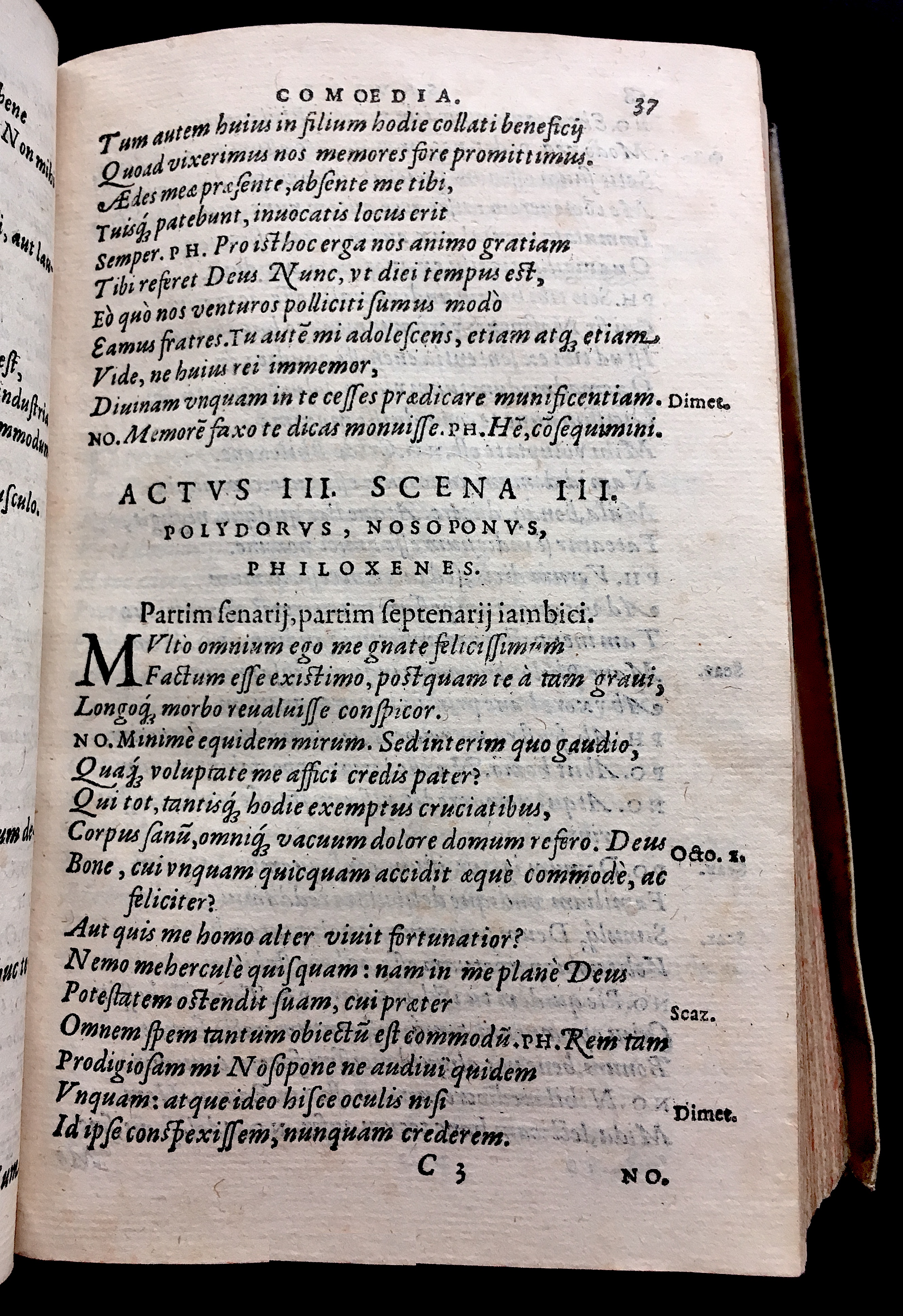 SchonaeusSaulus1581p37.jpg