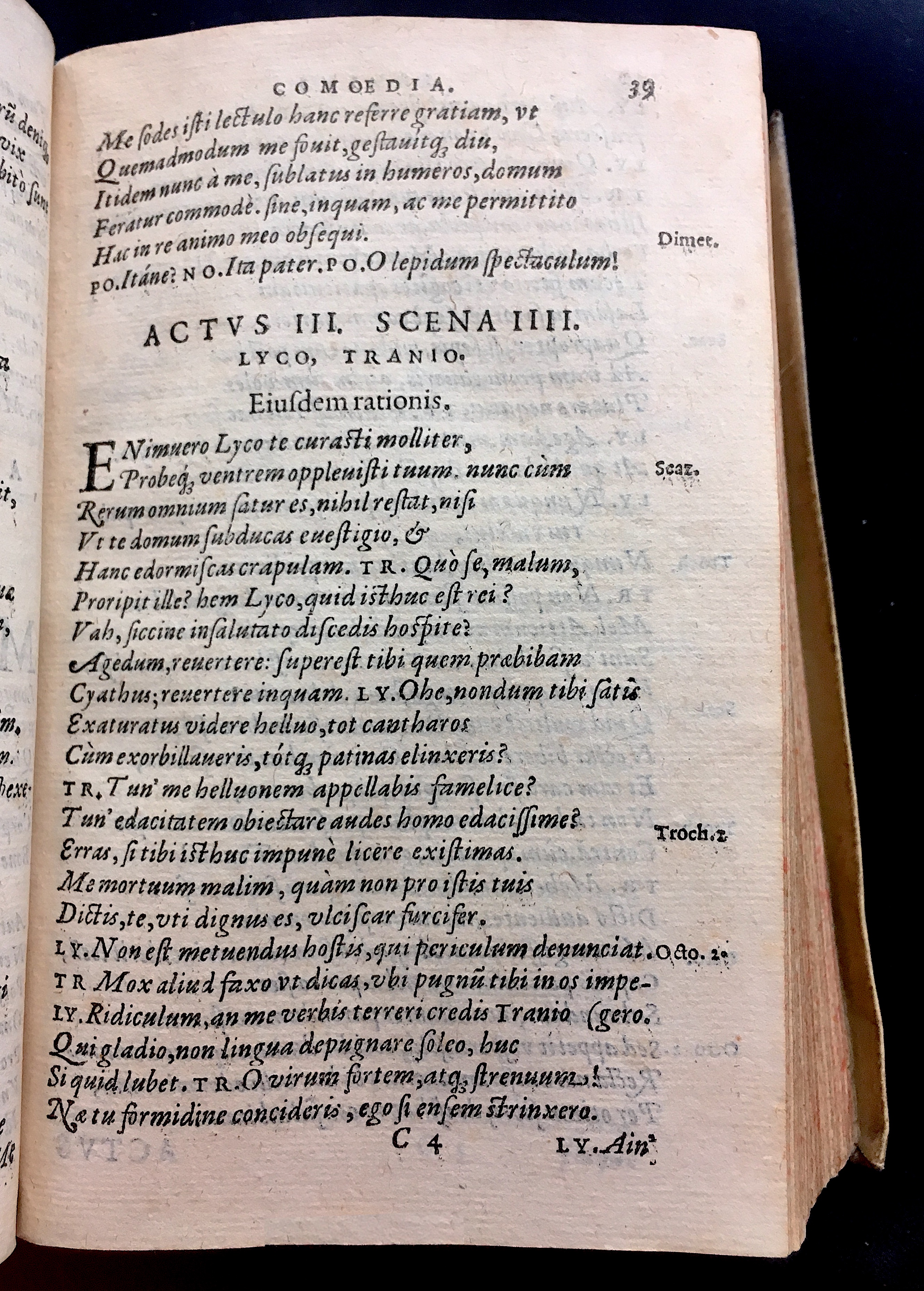 SchonaeusSaulus1581p39.jpg