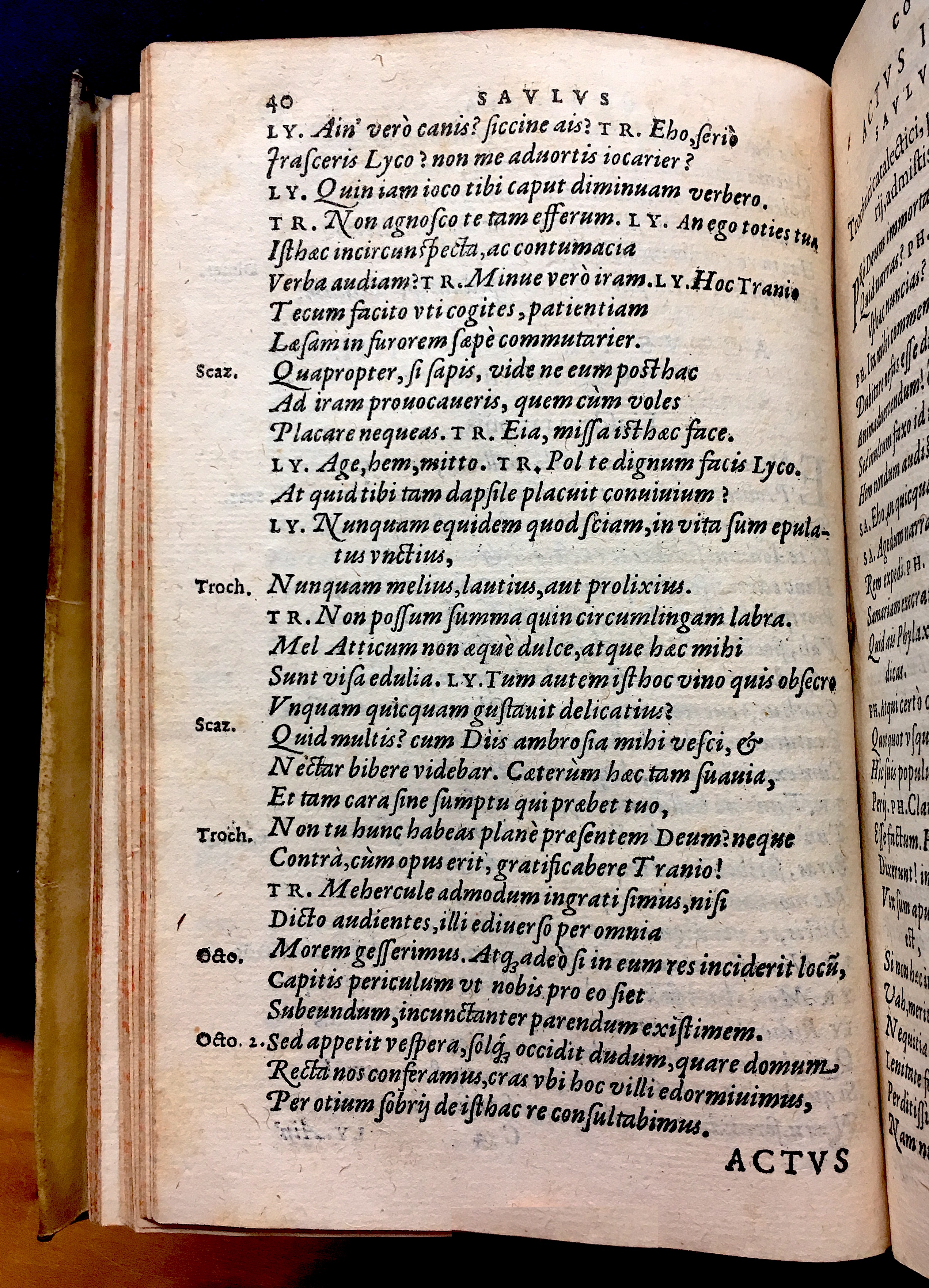 SchonaeusSaulus1581p40.jpg