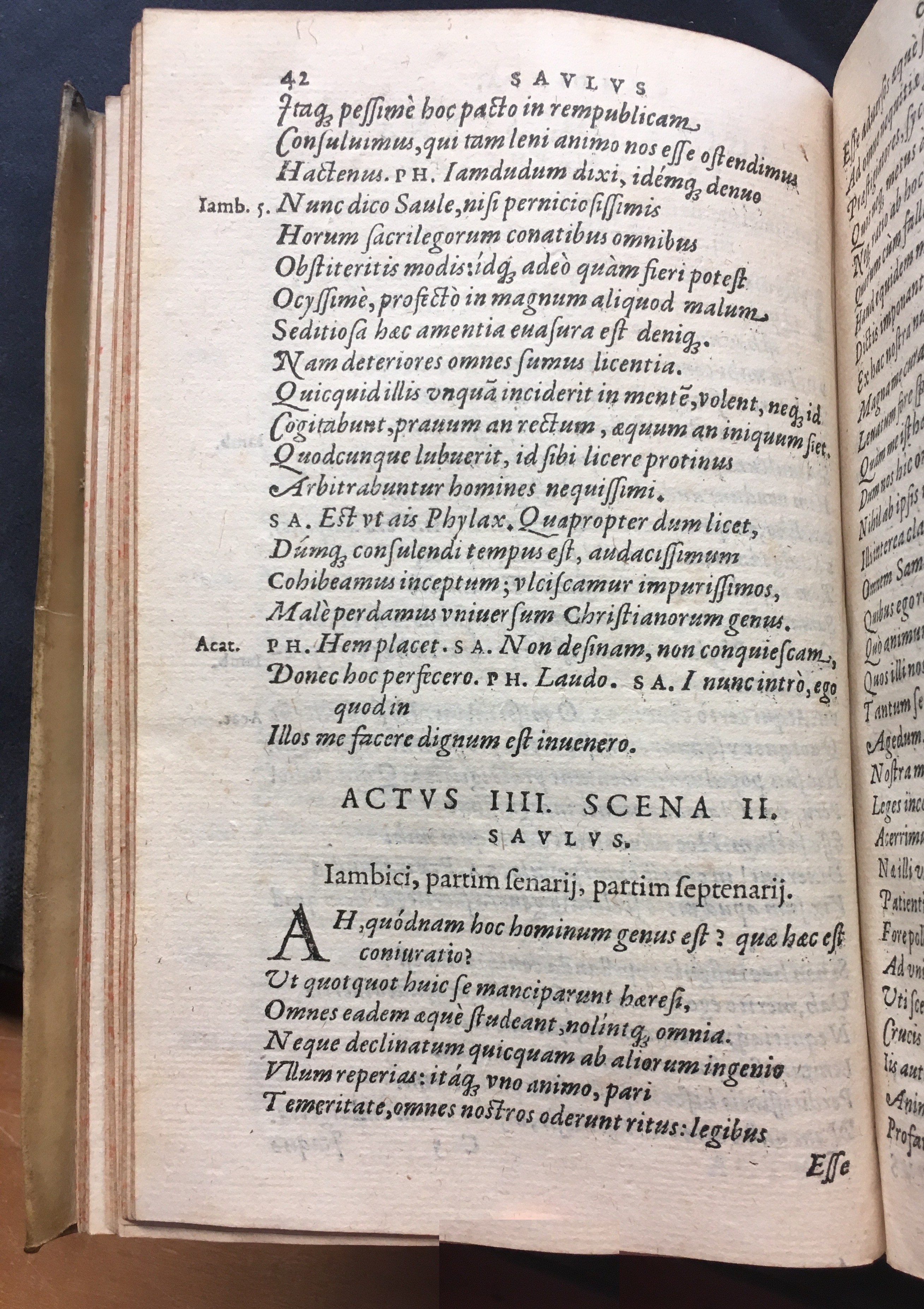 SchonaeusSaulus1581p42.jpg