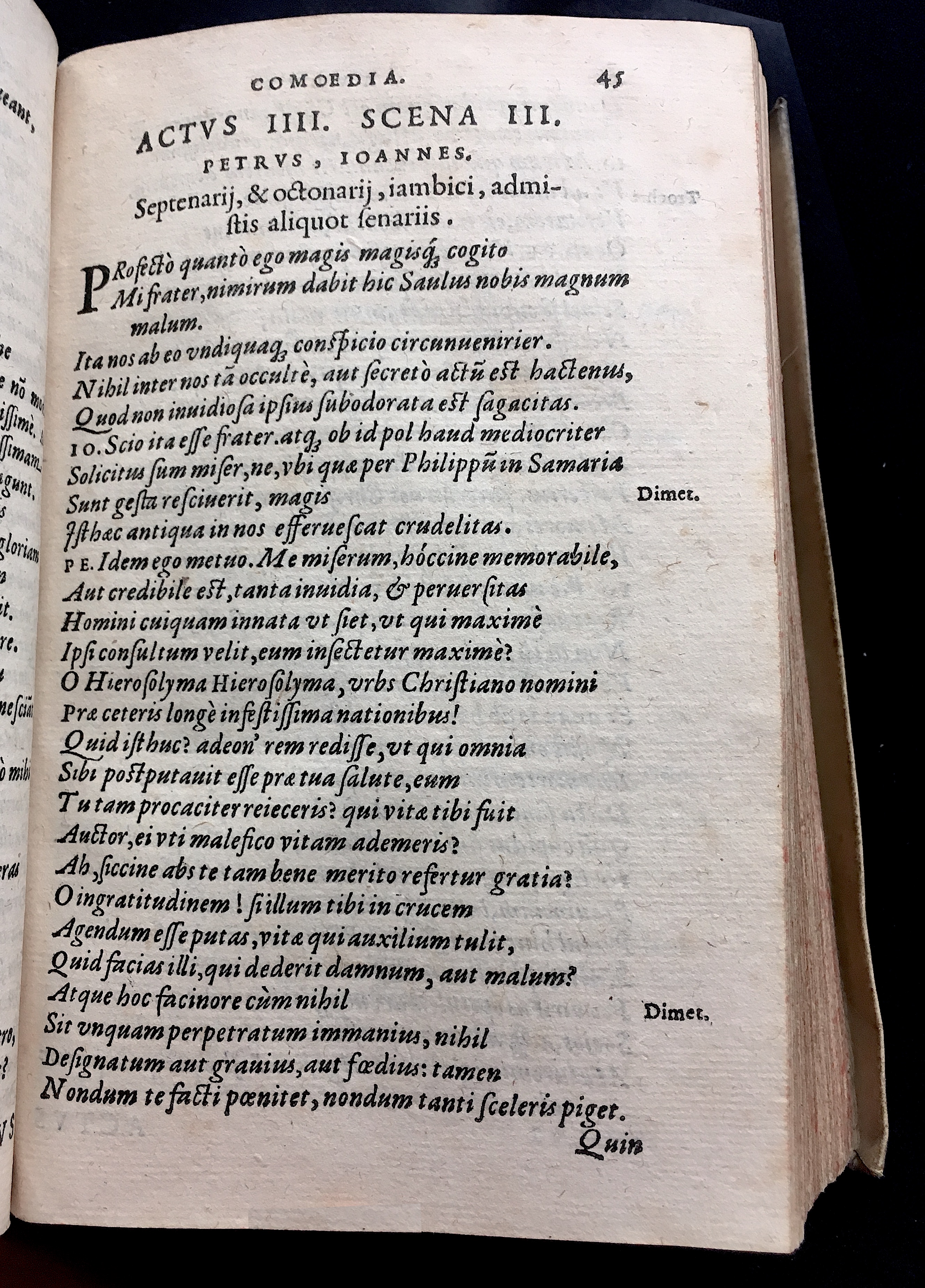 SchonaeusSaulus1581p45.jpg