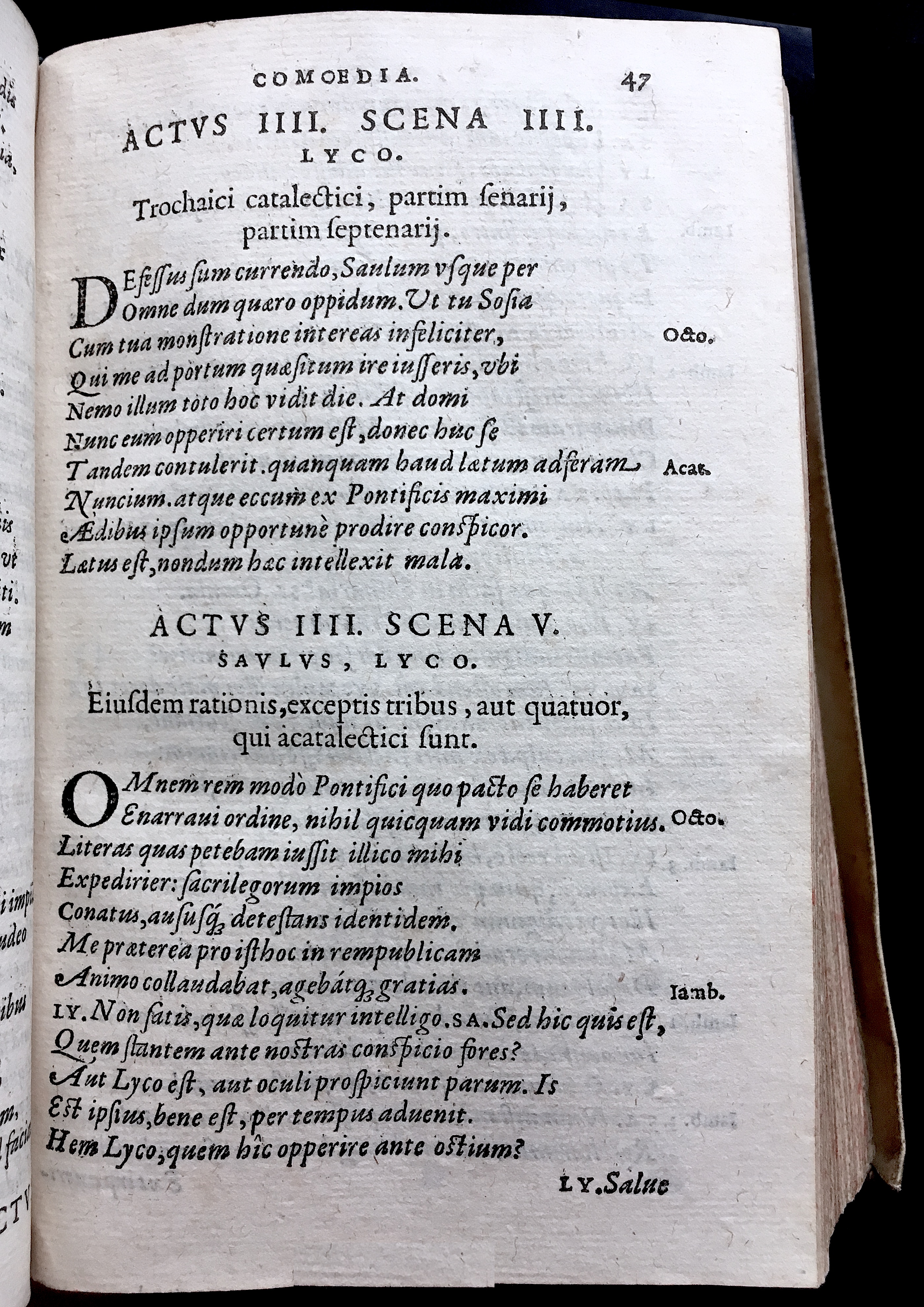 SchonaeusSaulus1581p47.jpg