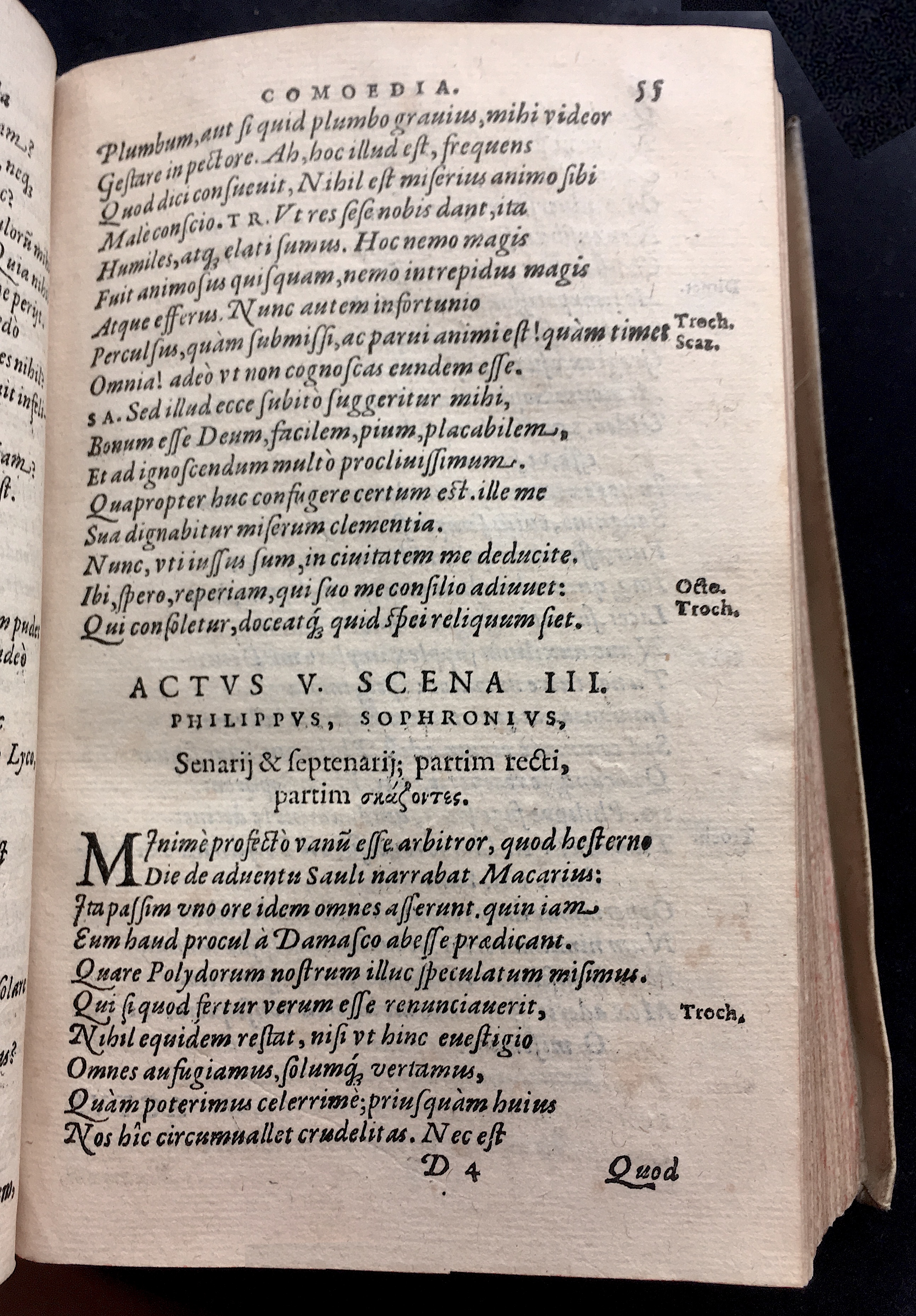 SchonaeusSaulus1581p55.jpg