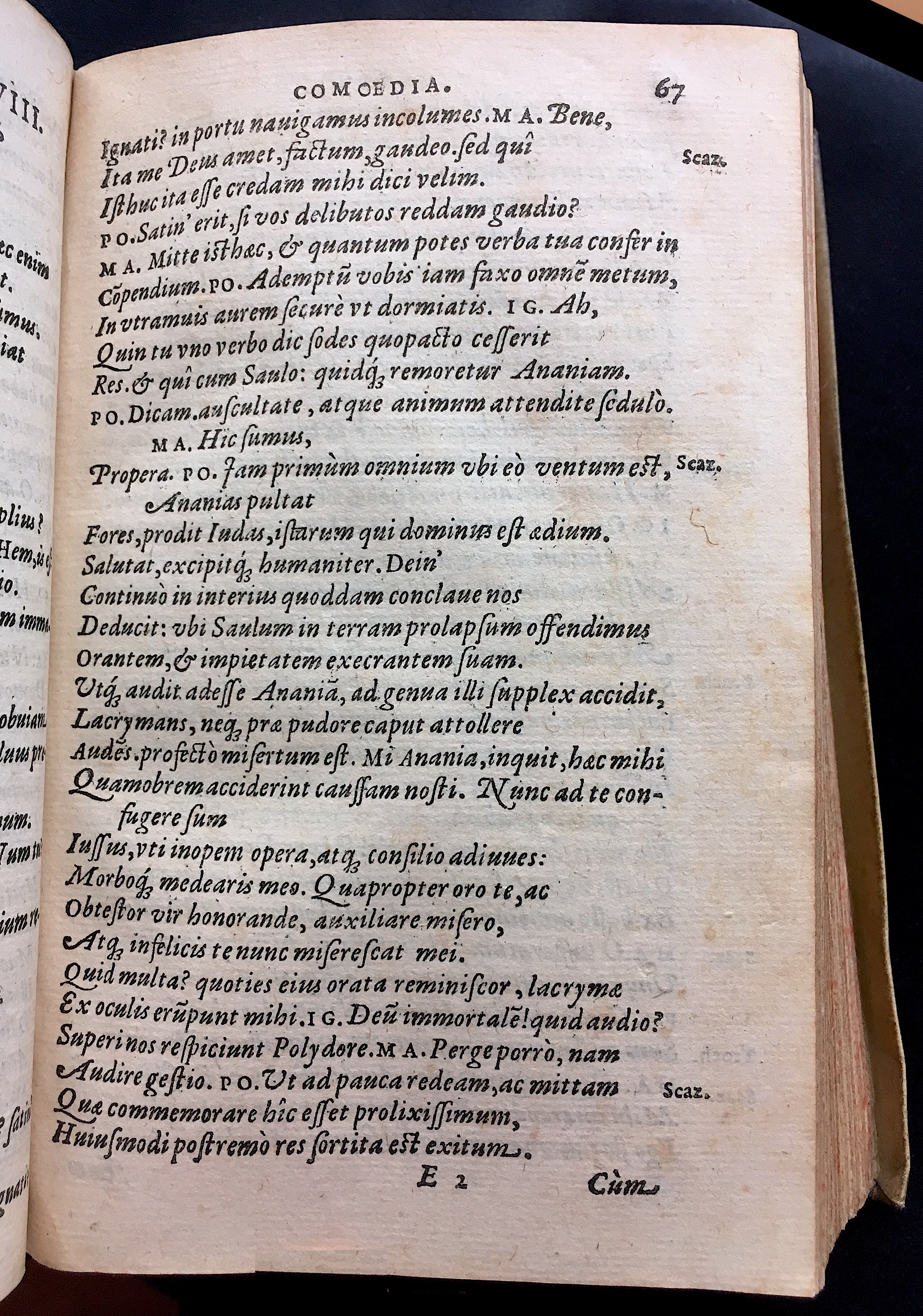 SchonaeusSaulus1581p67.jpg