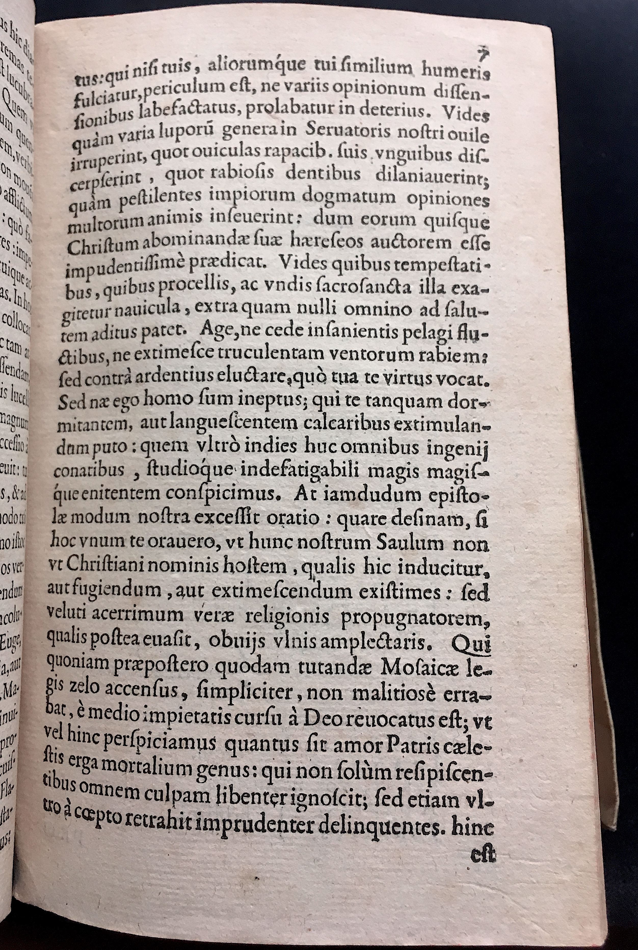 SchonaeusSaulus1581p07