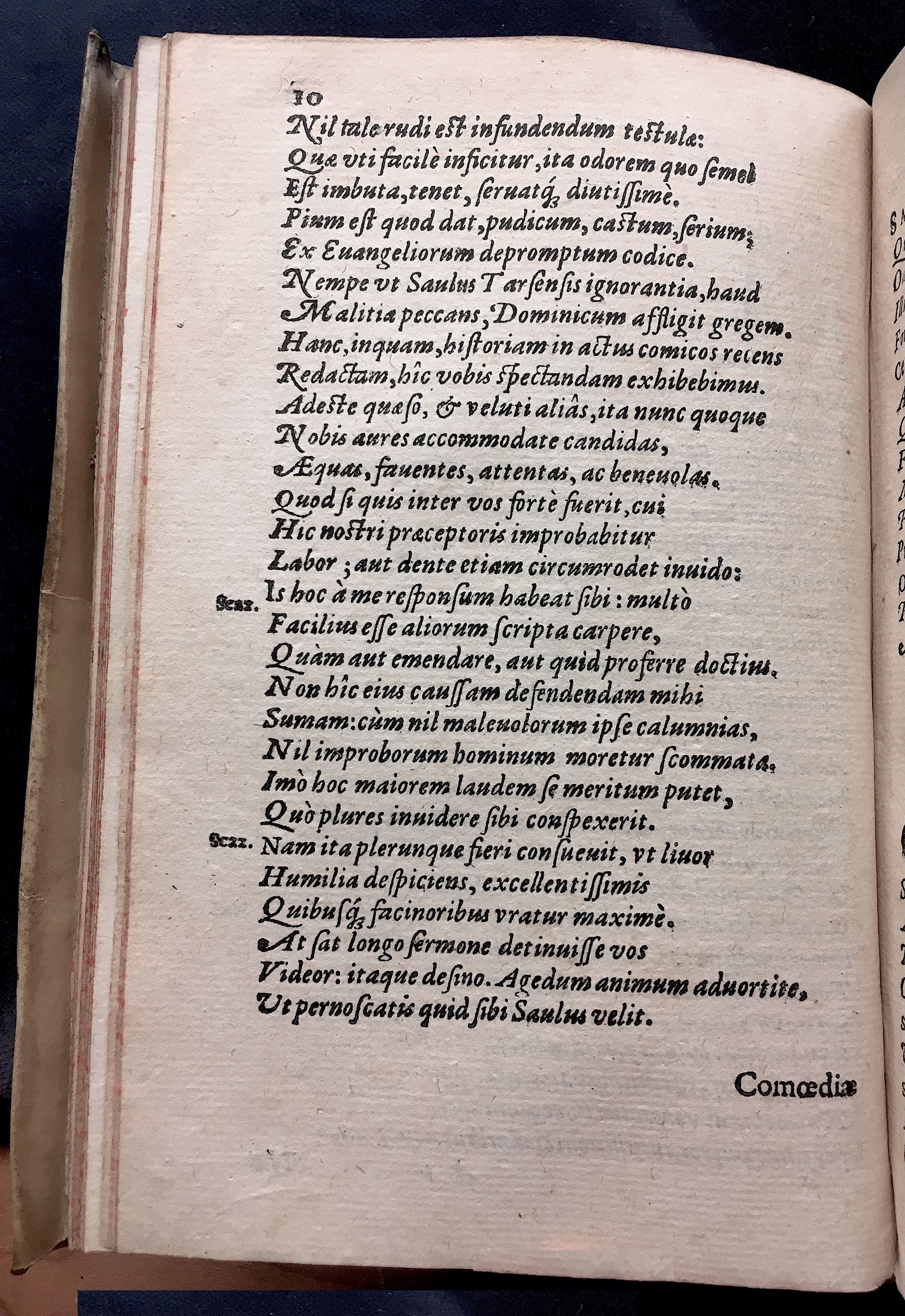 SchonaeusSaulus1581p10