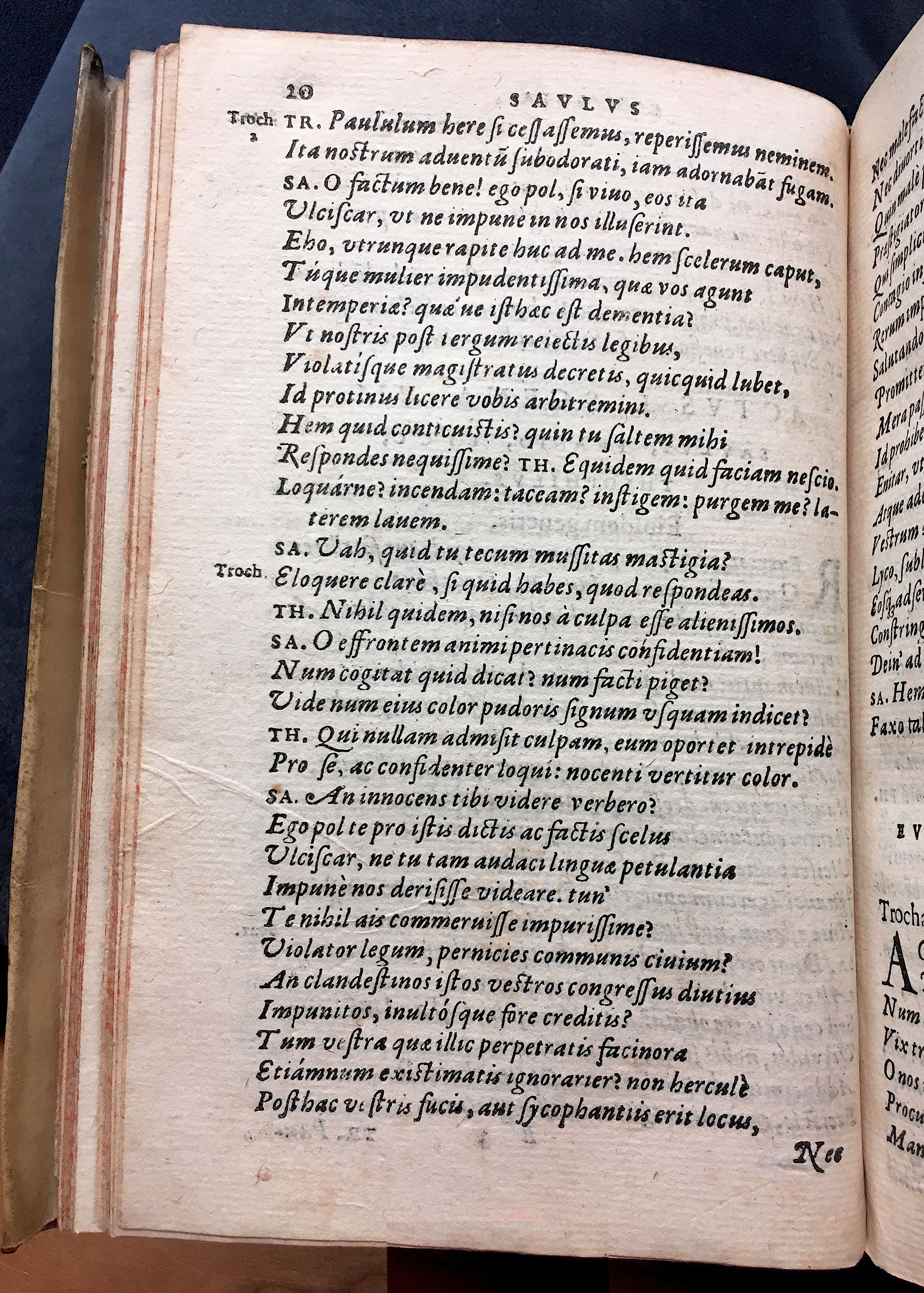 SchonaeusSaulus1581p20