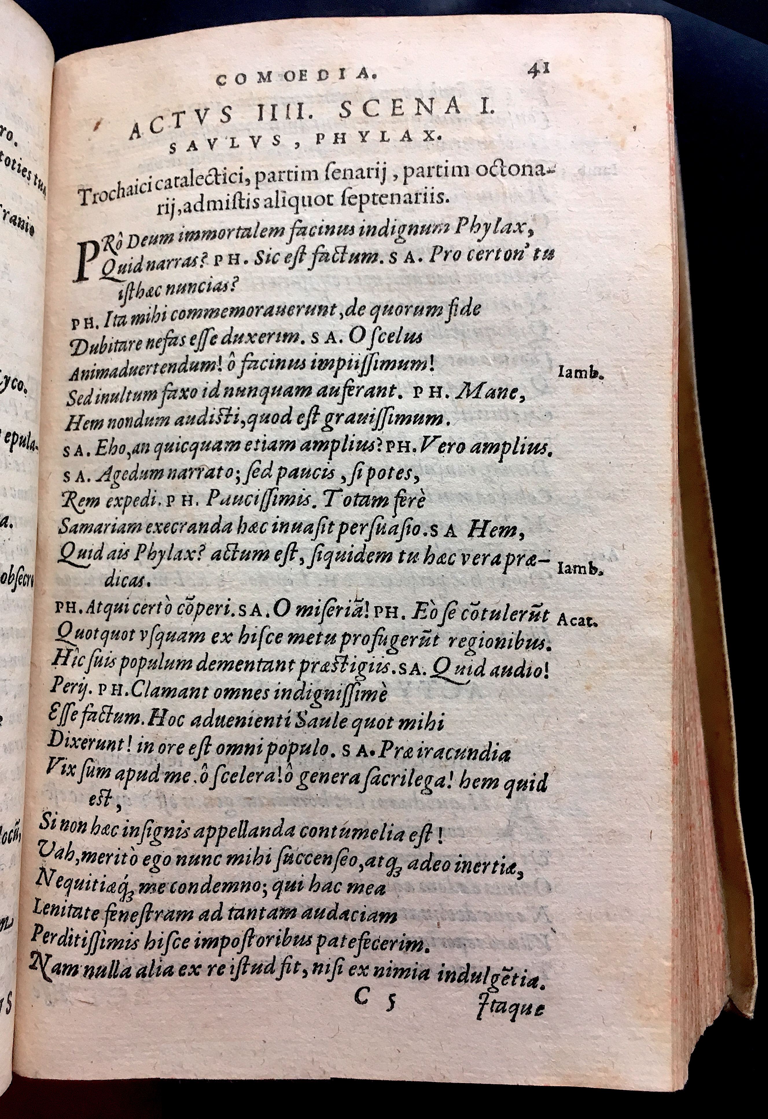 SchonaeusSaulus1581p41