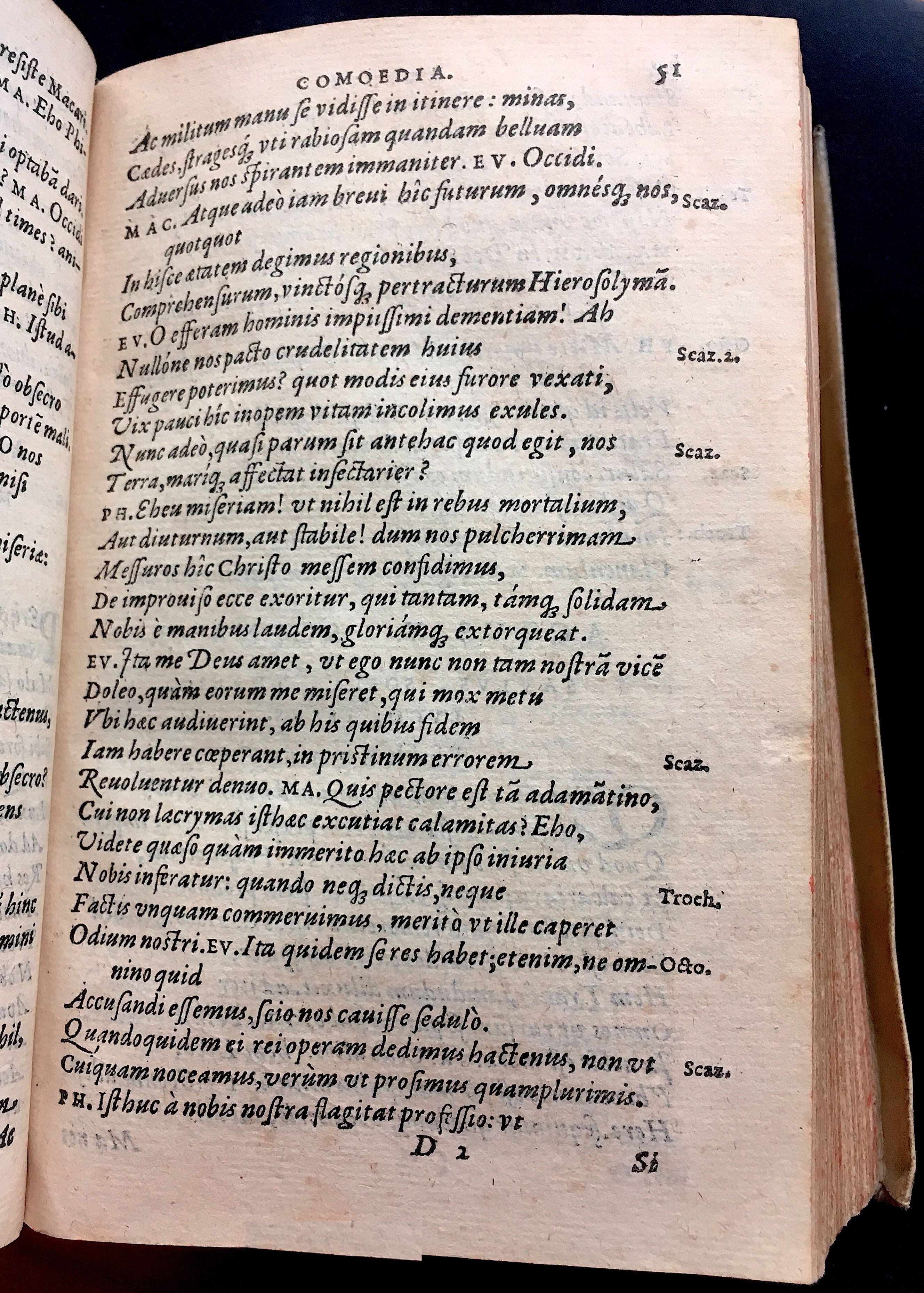 SchonaeusSaulus1581p51