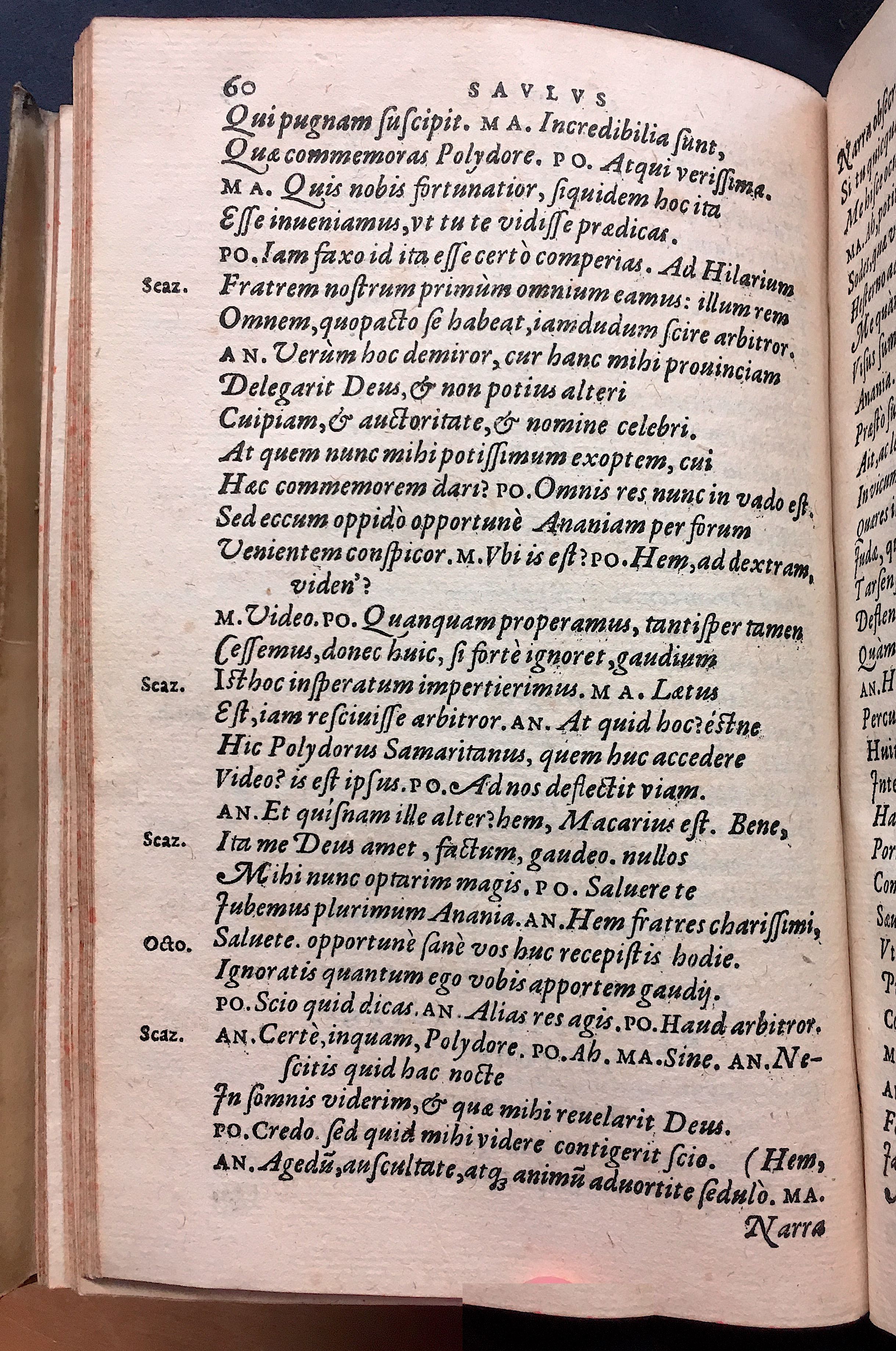 SchonaeusSaulus1581p60