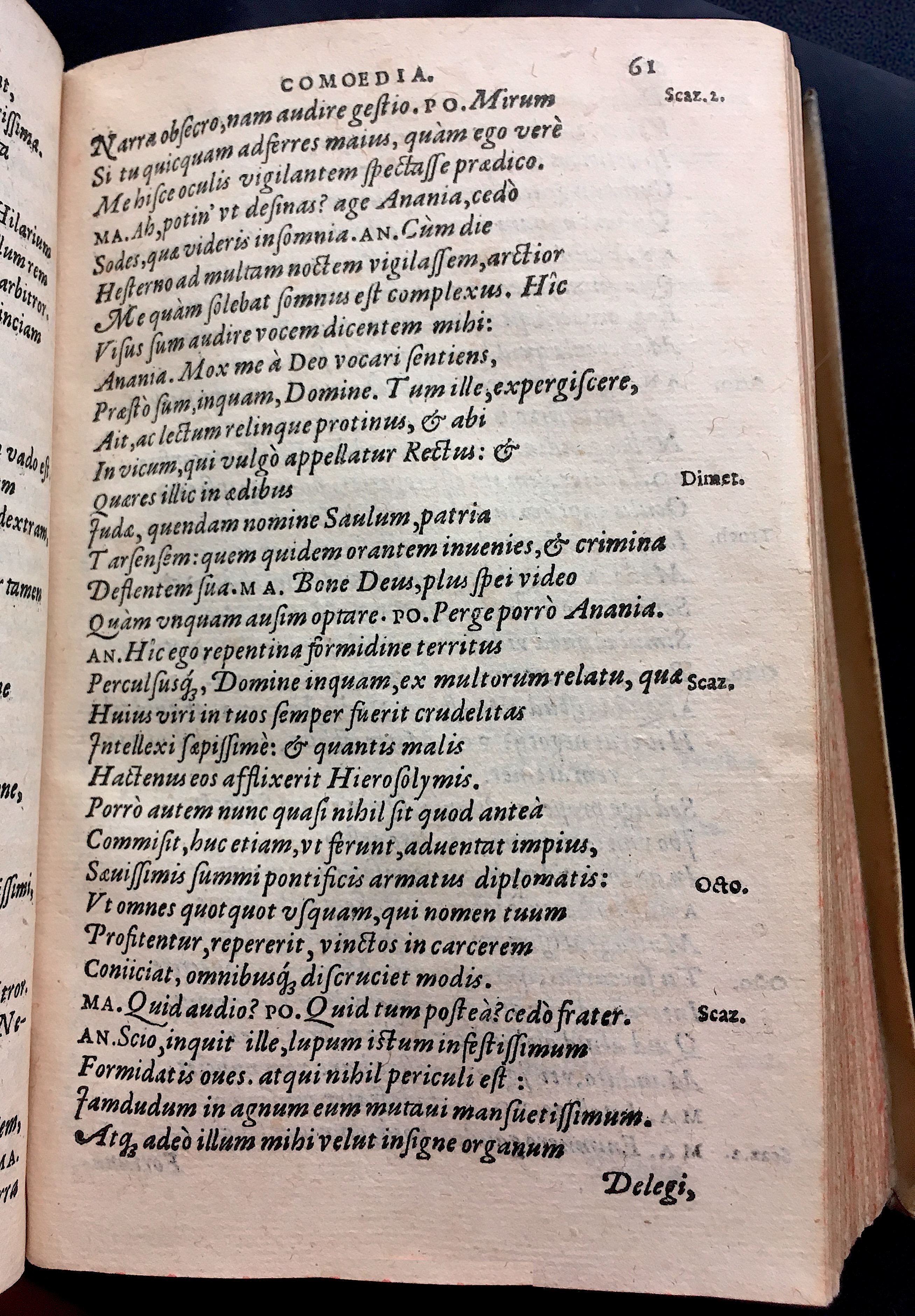 SchonaeusSaulus1581p61