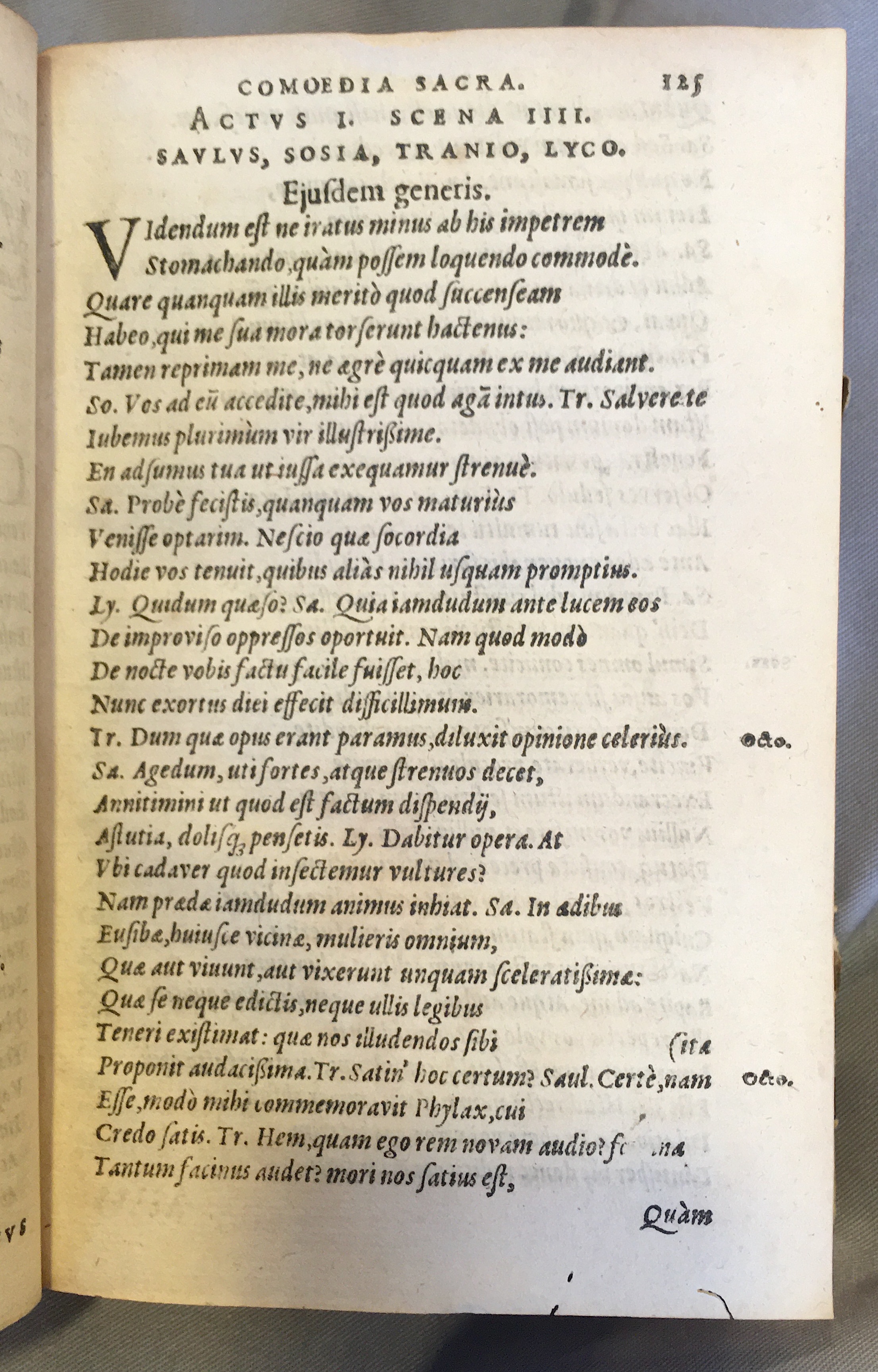 SchonaeusSaulus1592p125.jpg