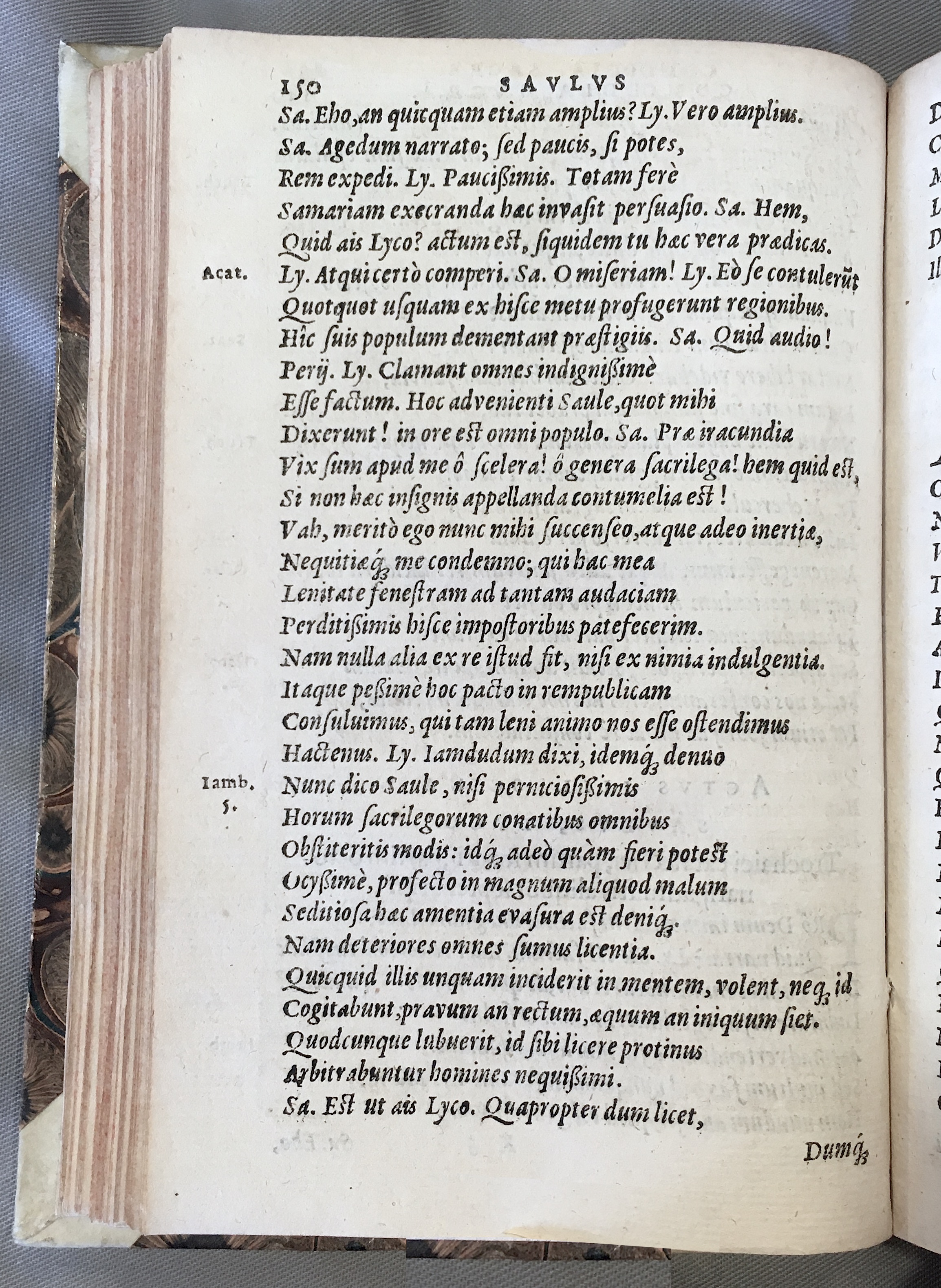 SchonaeusSaulus1592p150.jpg