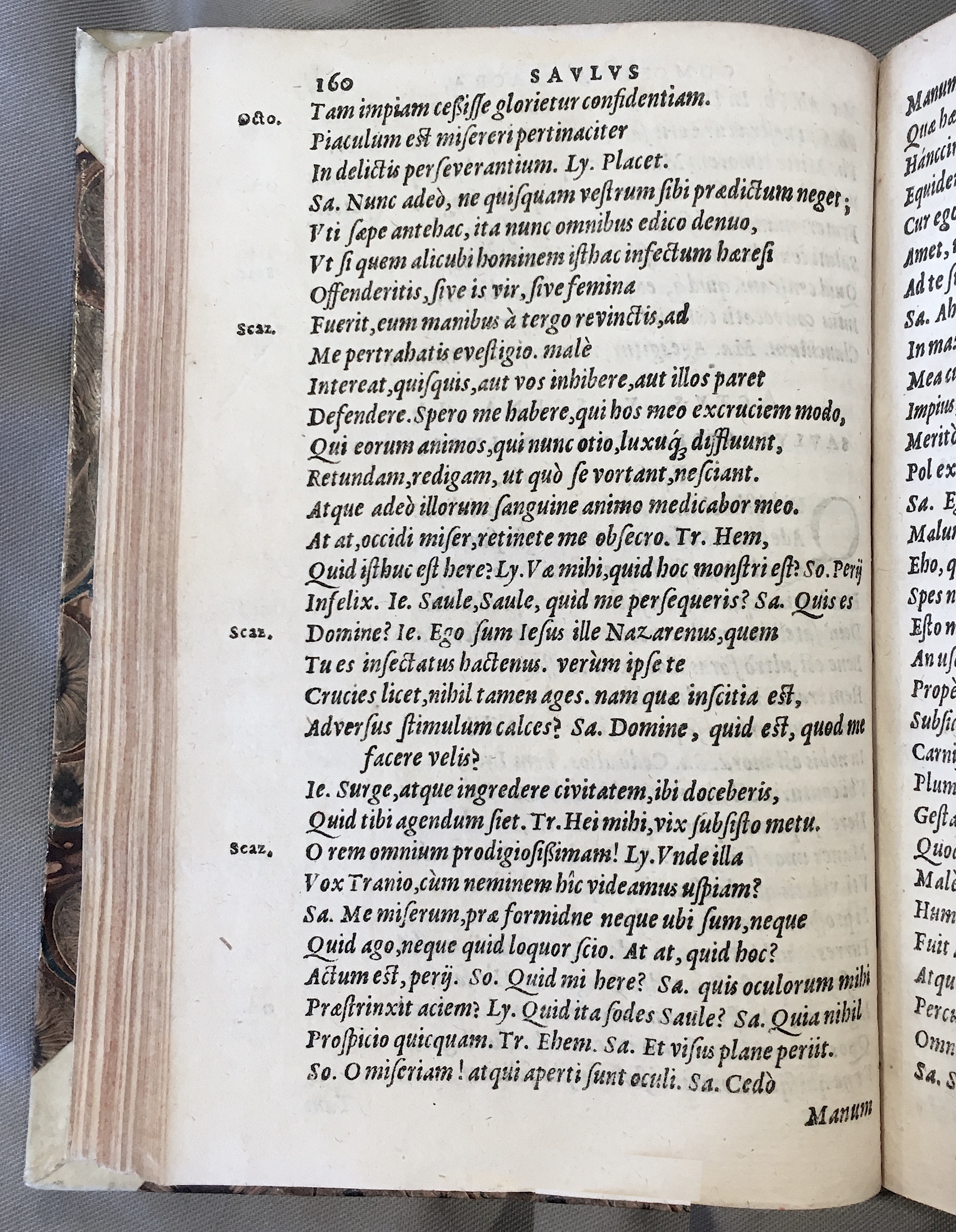 SchonaeusSaulus1592p160.jpg