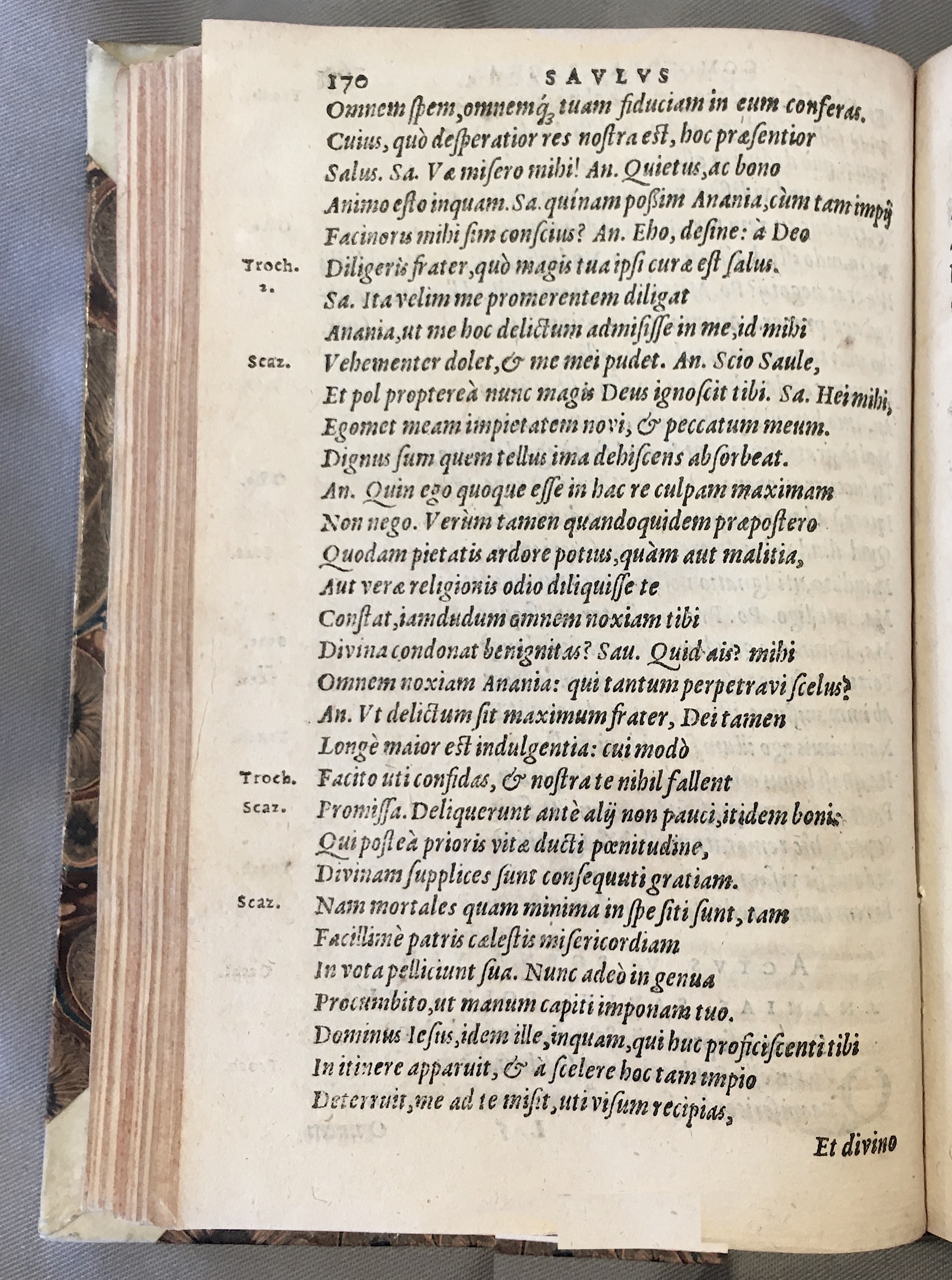 SchonaeusSaulus1592p170.jpg