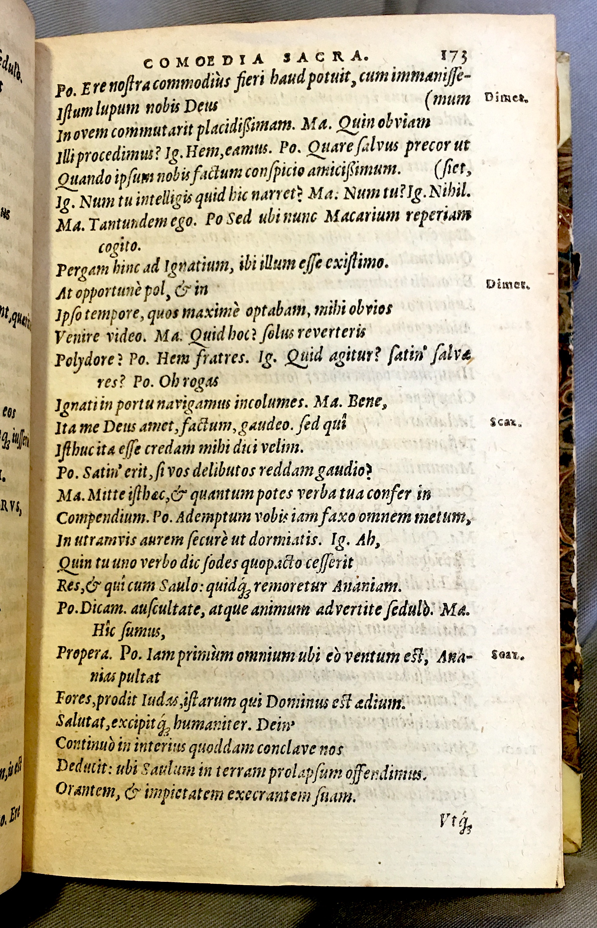 SchonaeusSaulus1592p173.jpg