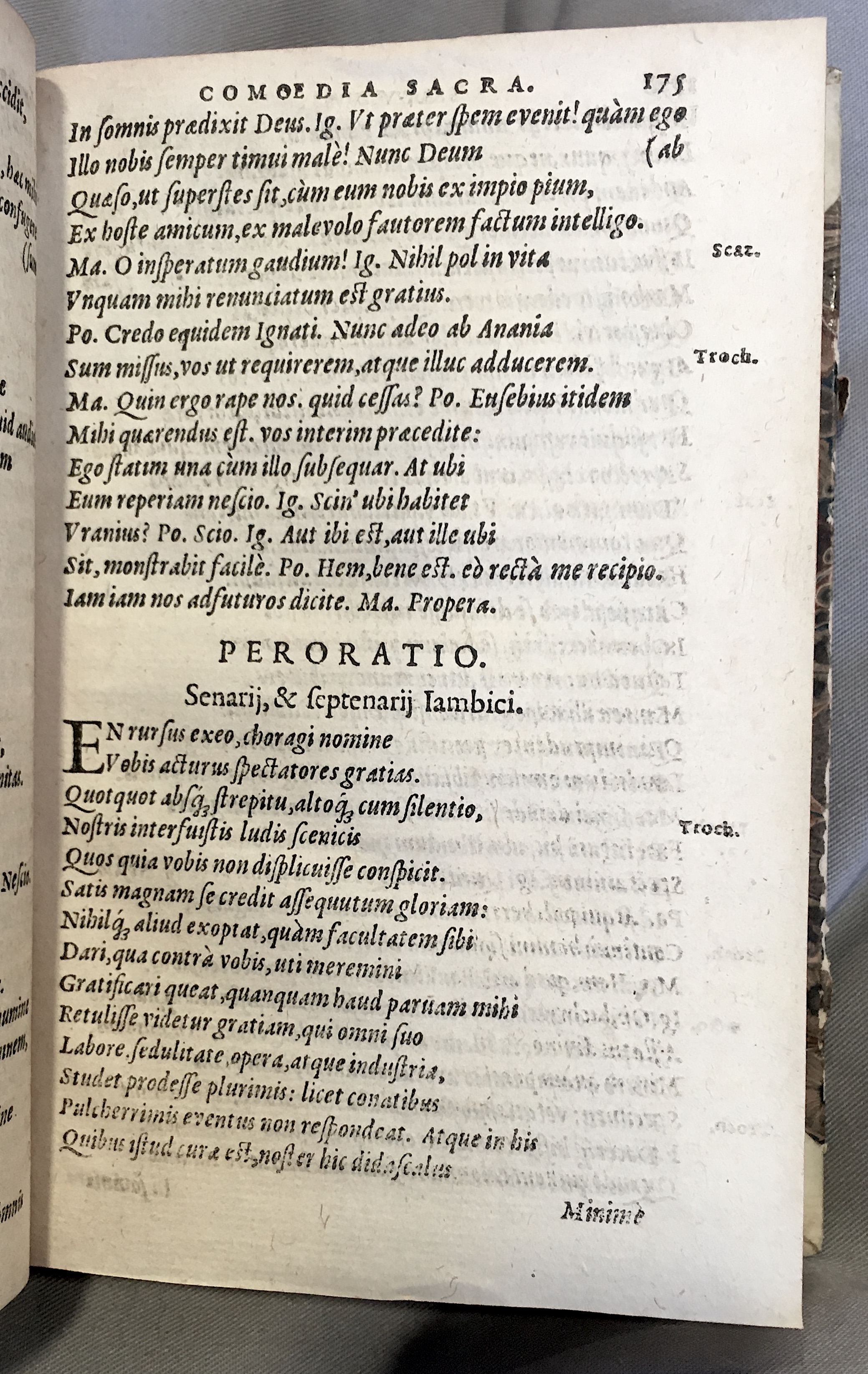 SchonaeusSaulus1592p175.jpg